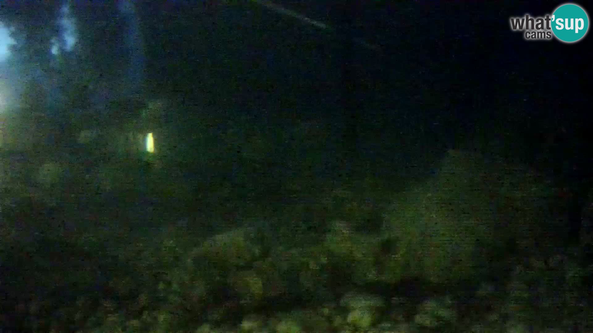 Acuario marino al aire libre Rogoznica webcam Croacia