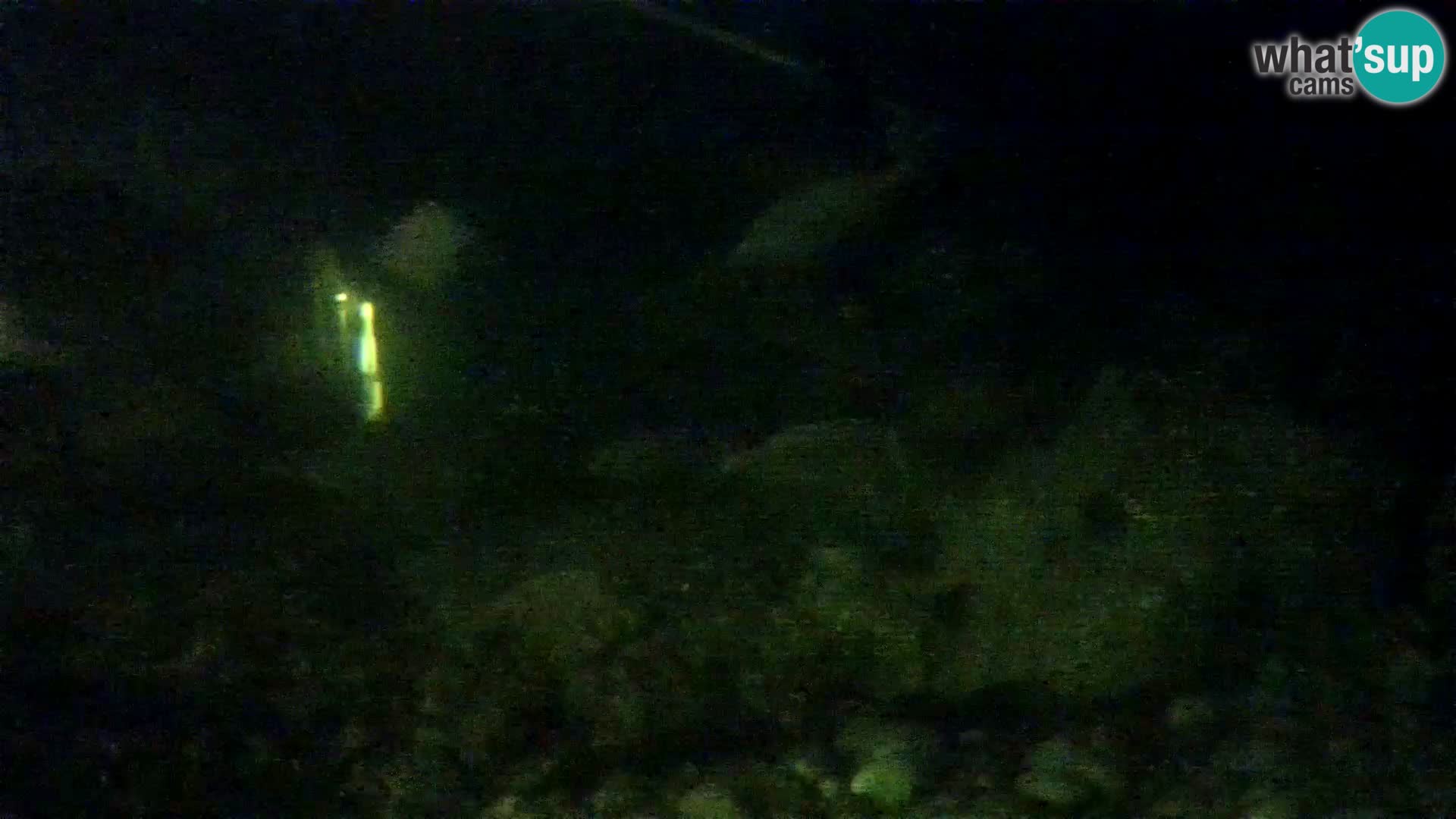 Zunanji morski akvarij Rogoznica spletna kamera Hrvaška