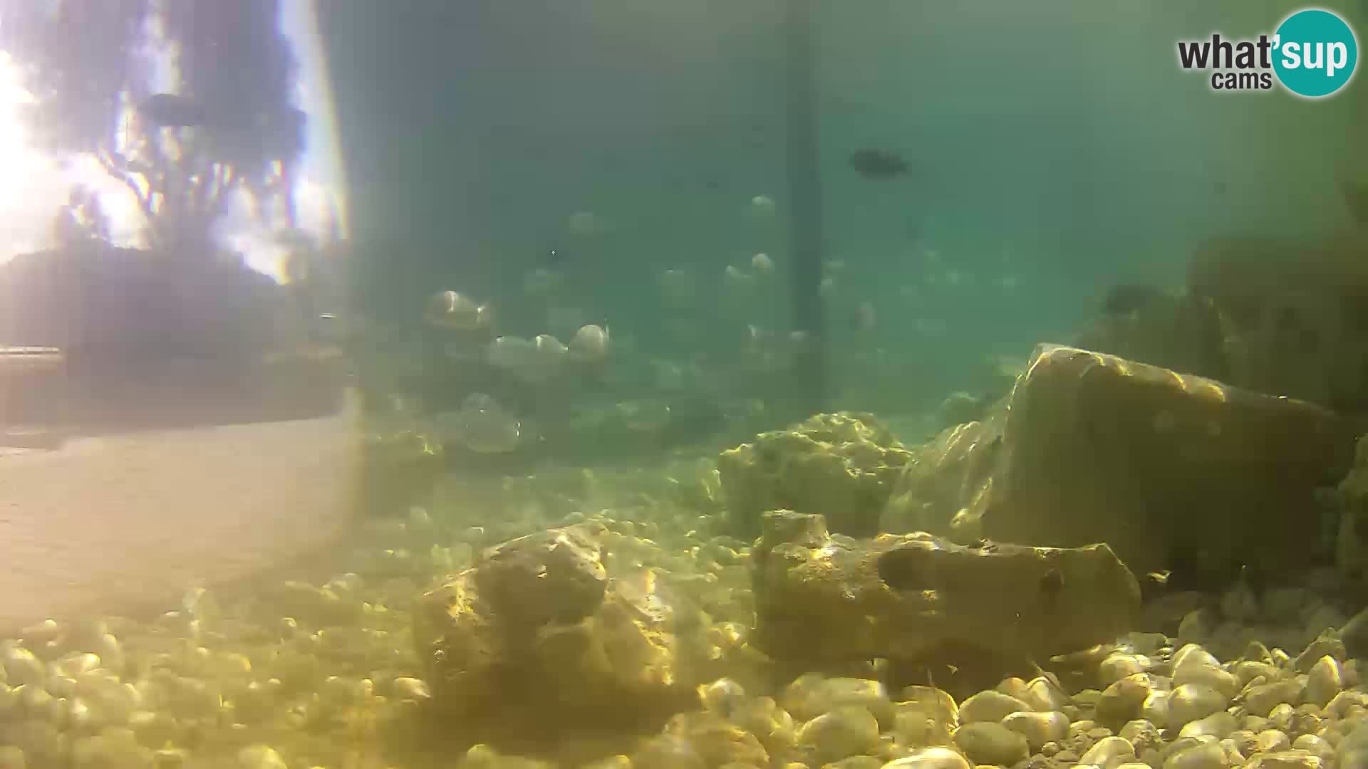 Marine Aquarium im Freien Rogoznica webcam Kroatien