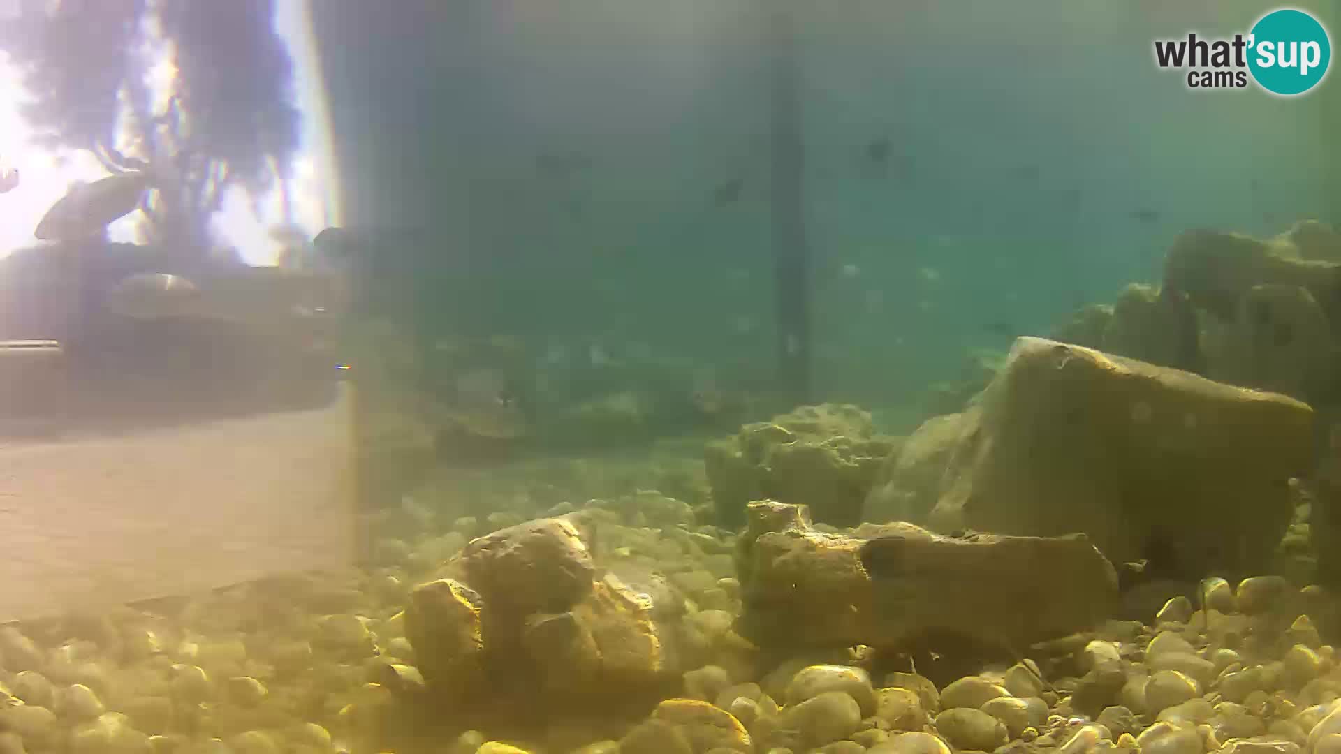 Marine Aquarium im Freien Rogoznica webcam Kroatien