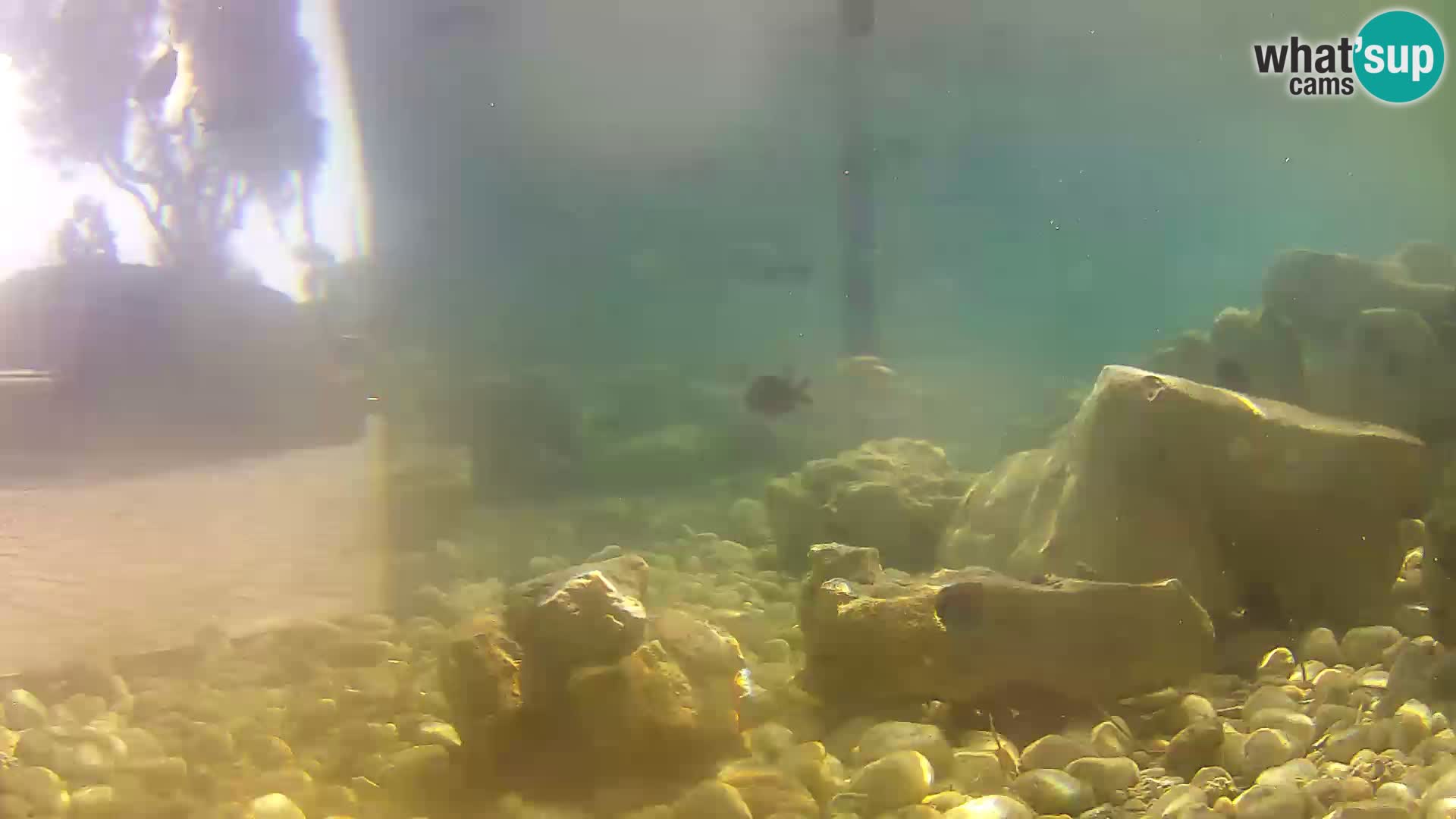 Marine Aquarium im Freien Rogoznica webcam Kroatien