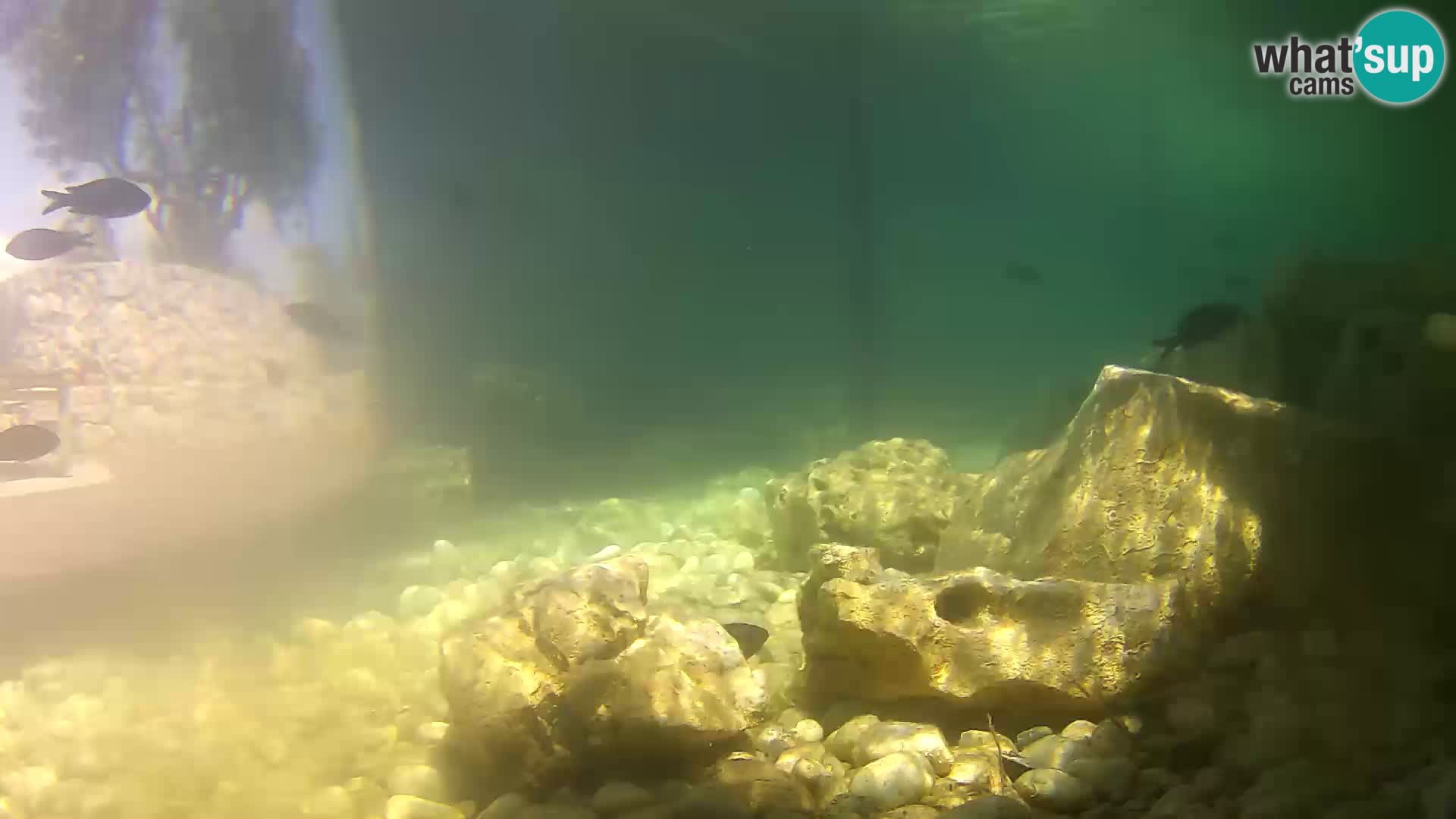 Unterwasserkamera Brijuni – Čamčarnica