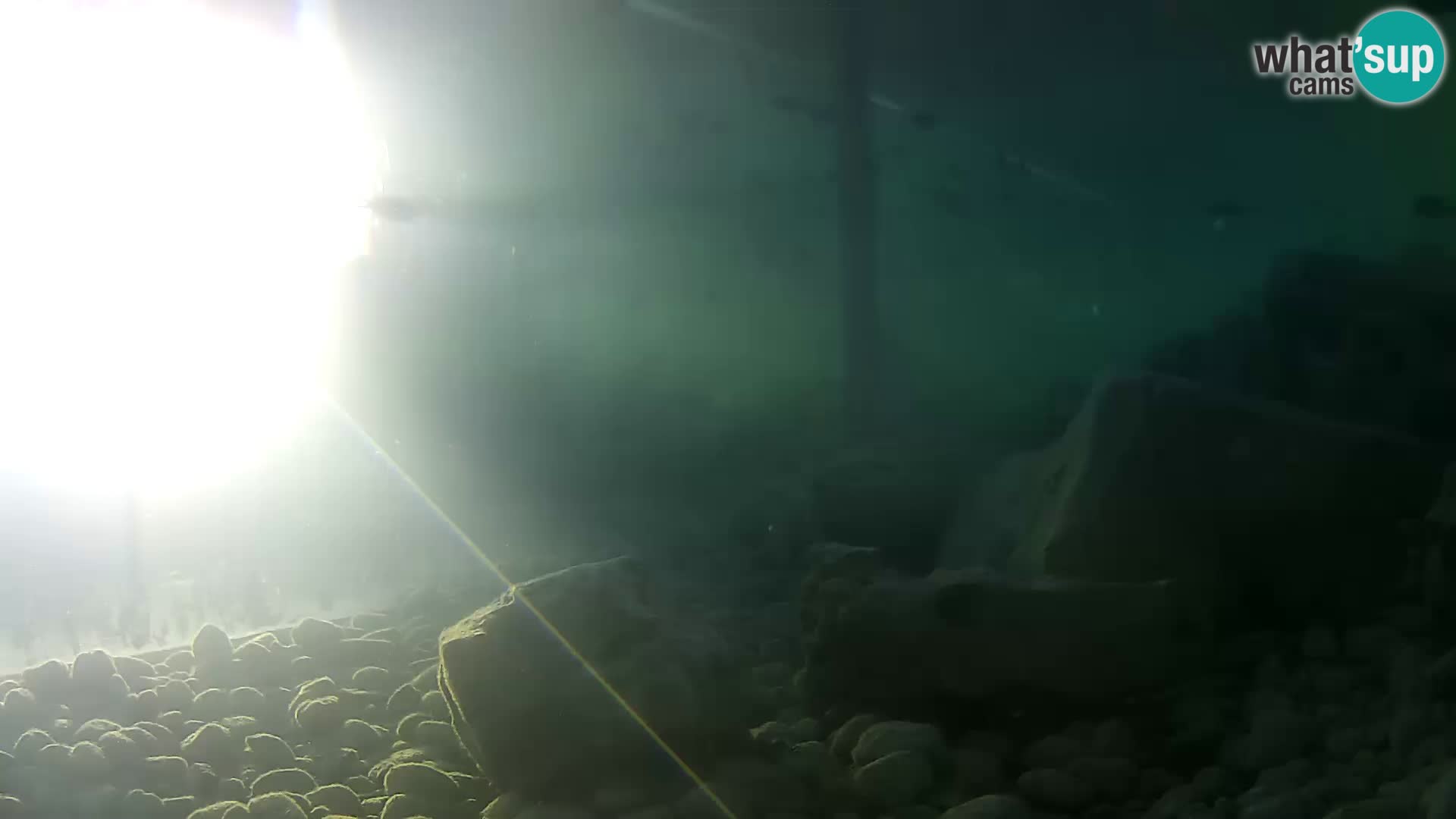 Aquario marino esterno –  Rogoznica livecam Croazia