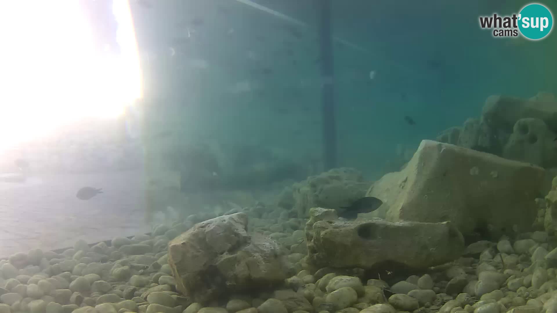 Marine Aquarium im Freien Rogoznica webcam Kroatien