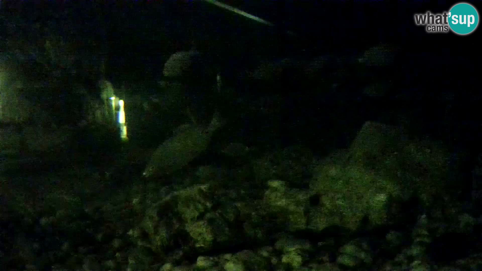 Outdoor Marine Aquarium Rogoznica webcam Croatia