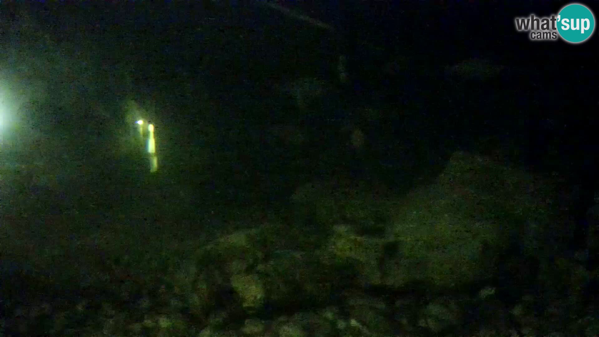 Outdoor Marine Aquarium Rogoznica webcam Croatia