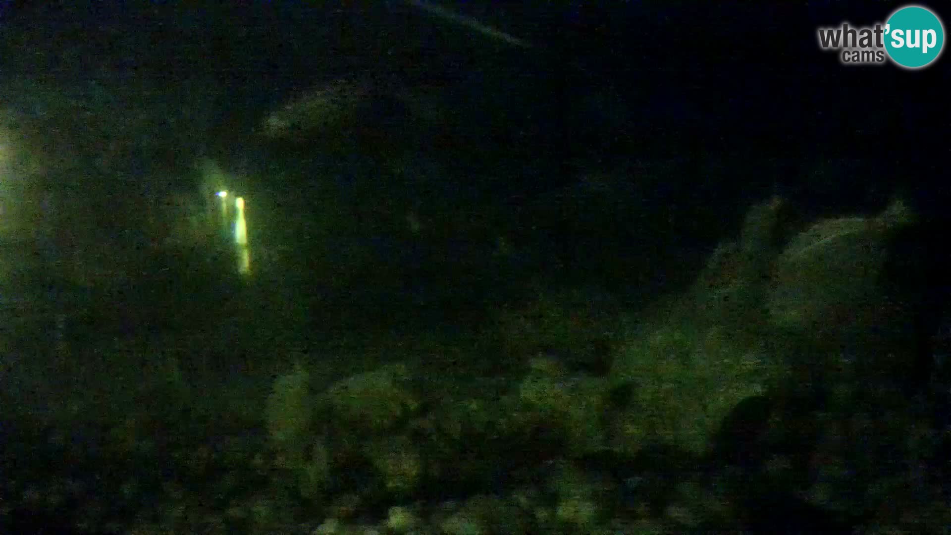 Aquario marino esterno –  Rogoznica livecam Croazia