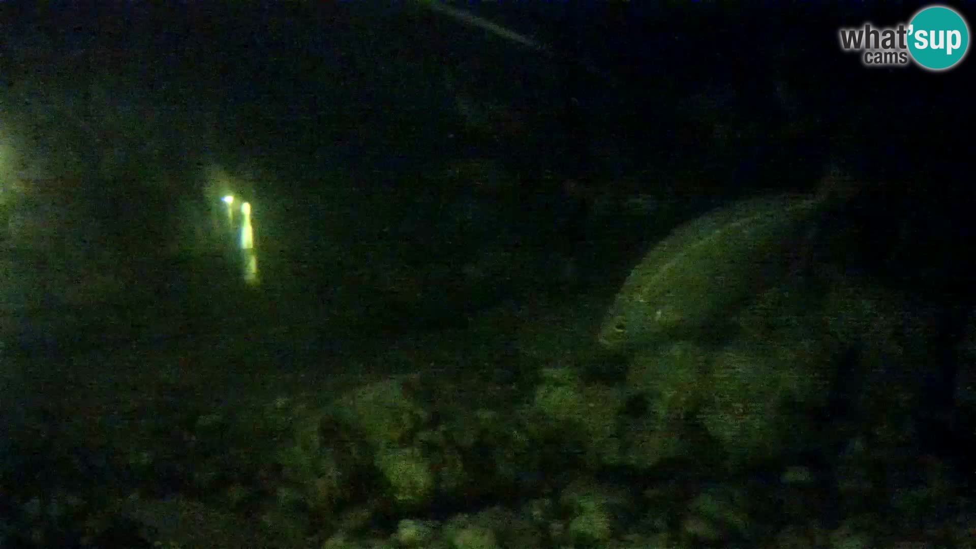Zunanji morski akvarij Rogoznica spletna kamera Hrvaška