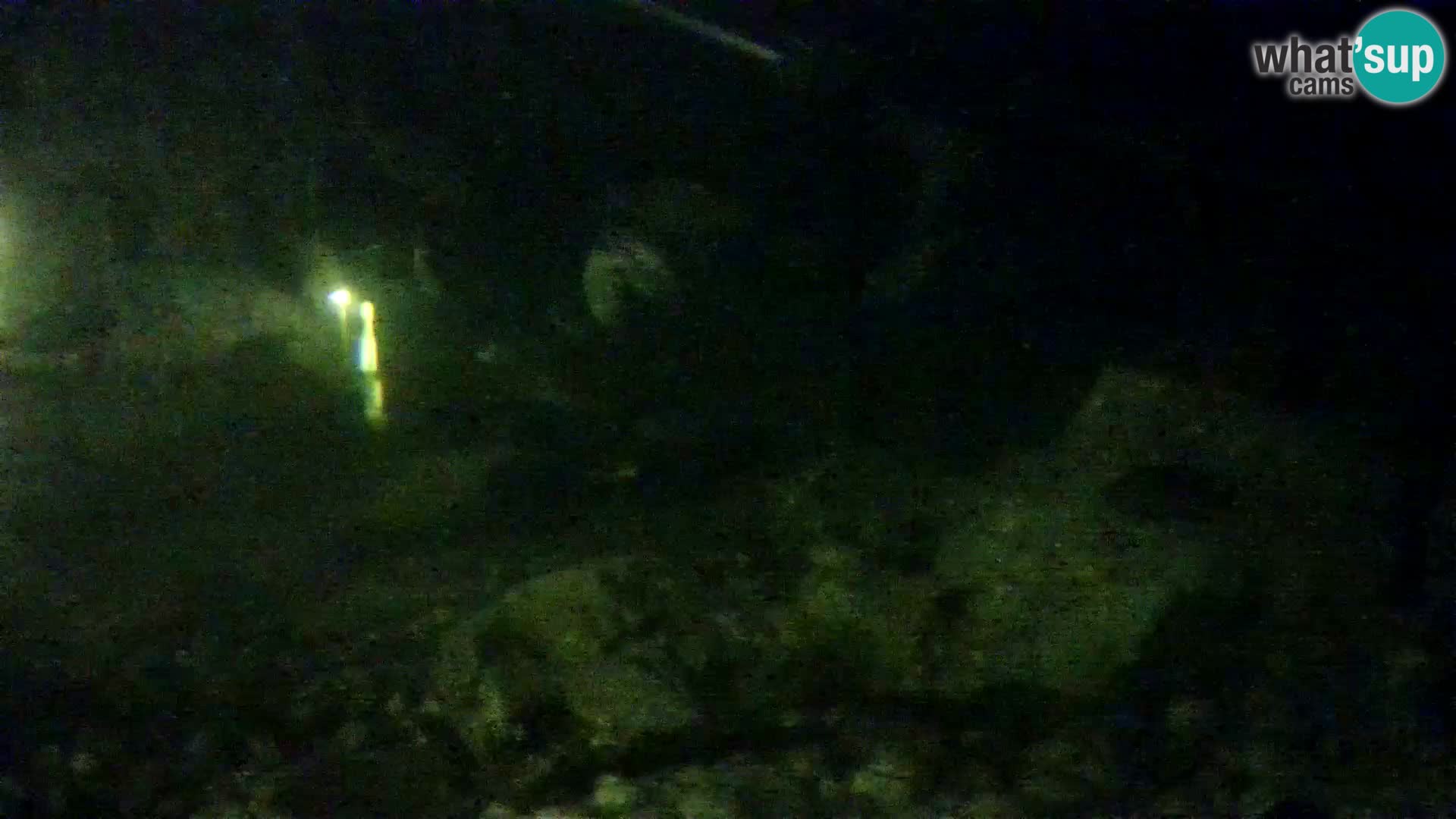 Acuario marino al aire libre Rogoznica webcam Croacia