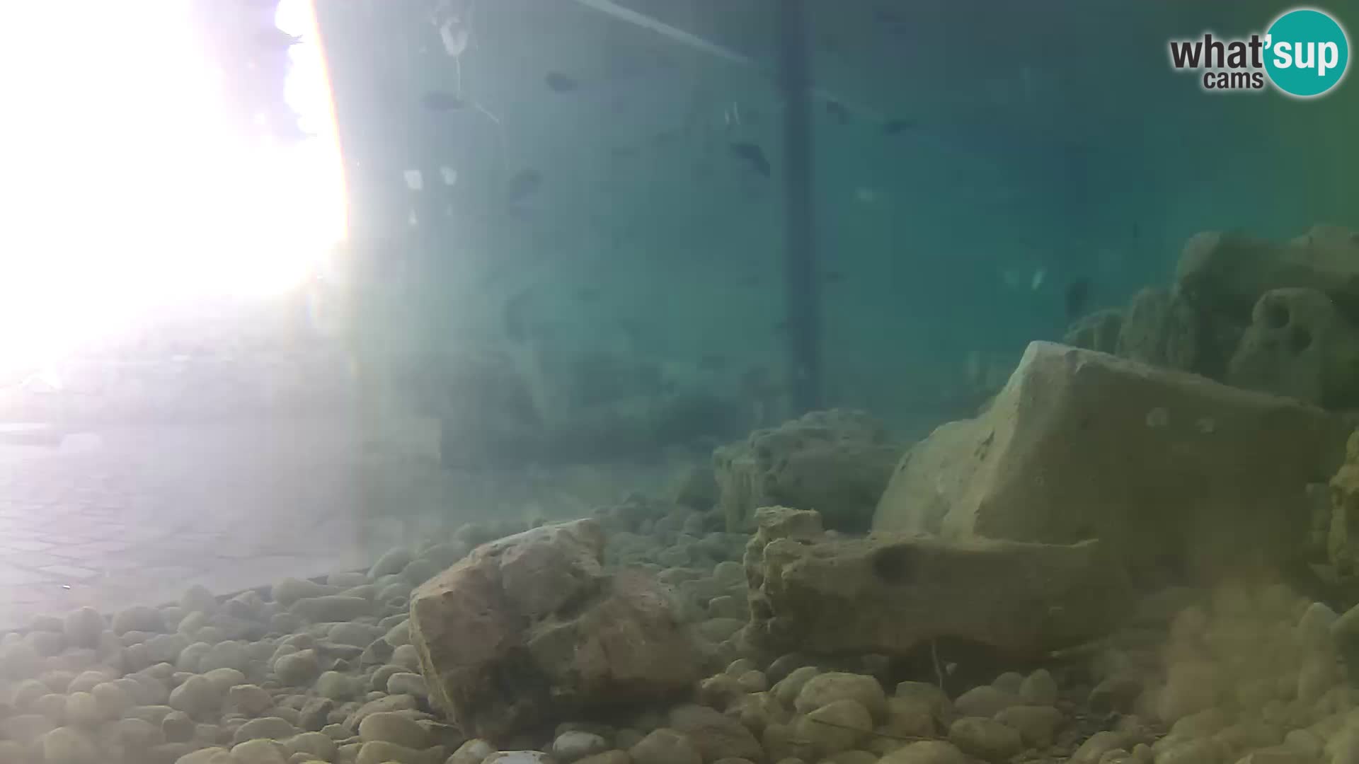 Outdoor Marine Aquarium Rogoznica webcam Croatia