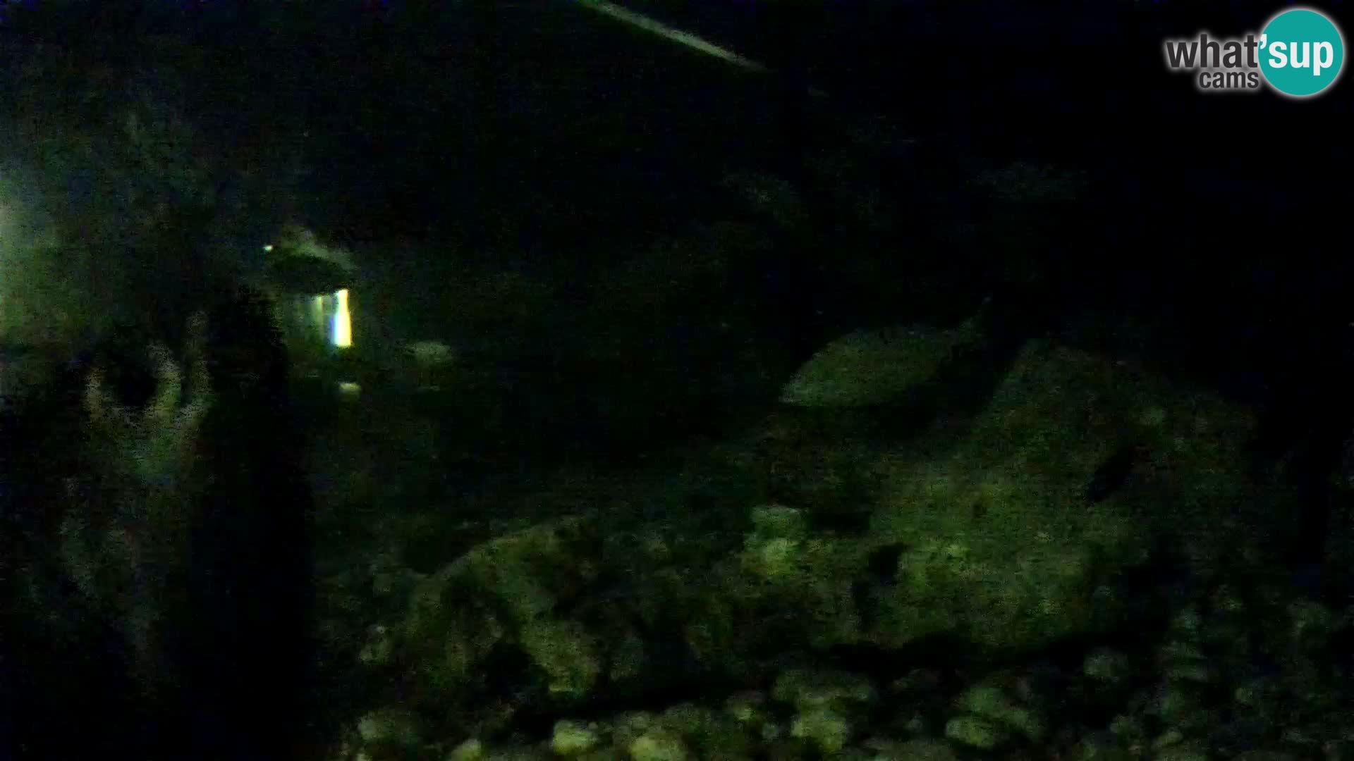 Webcam de l’aquarium marin extérieur de Rogoznica Croatie