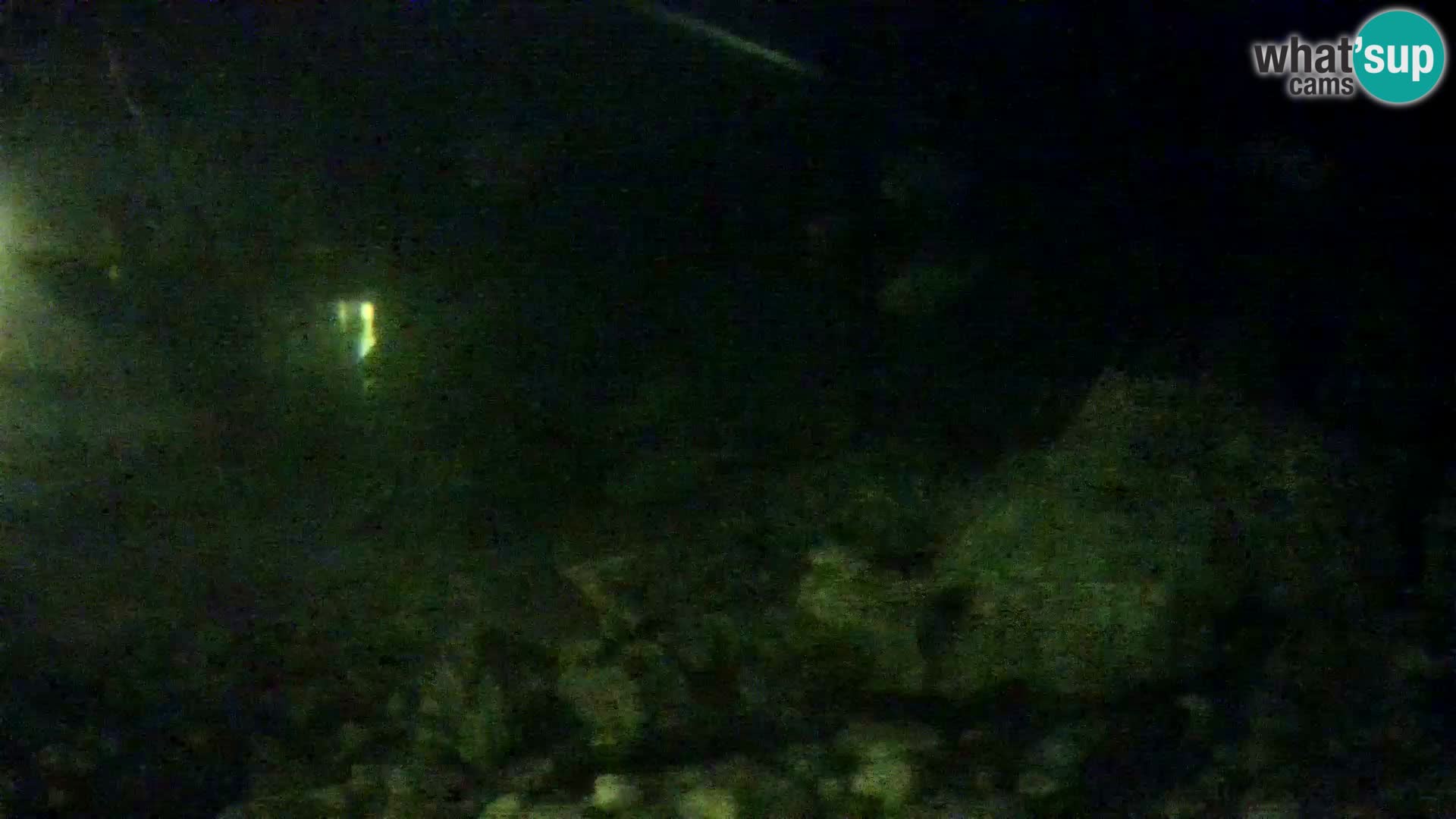 Outdoor Marine Aquarium Rogoznica webcam Croatia