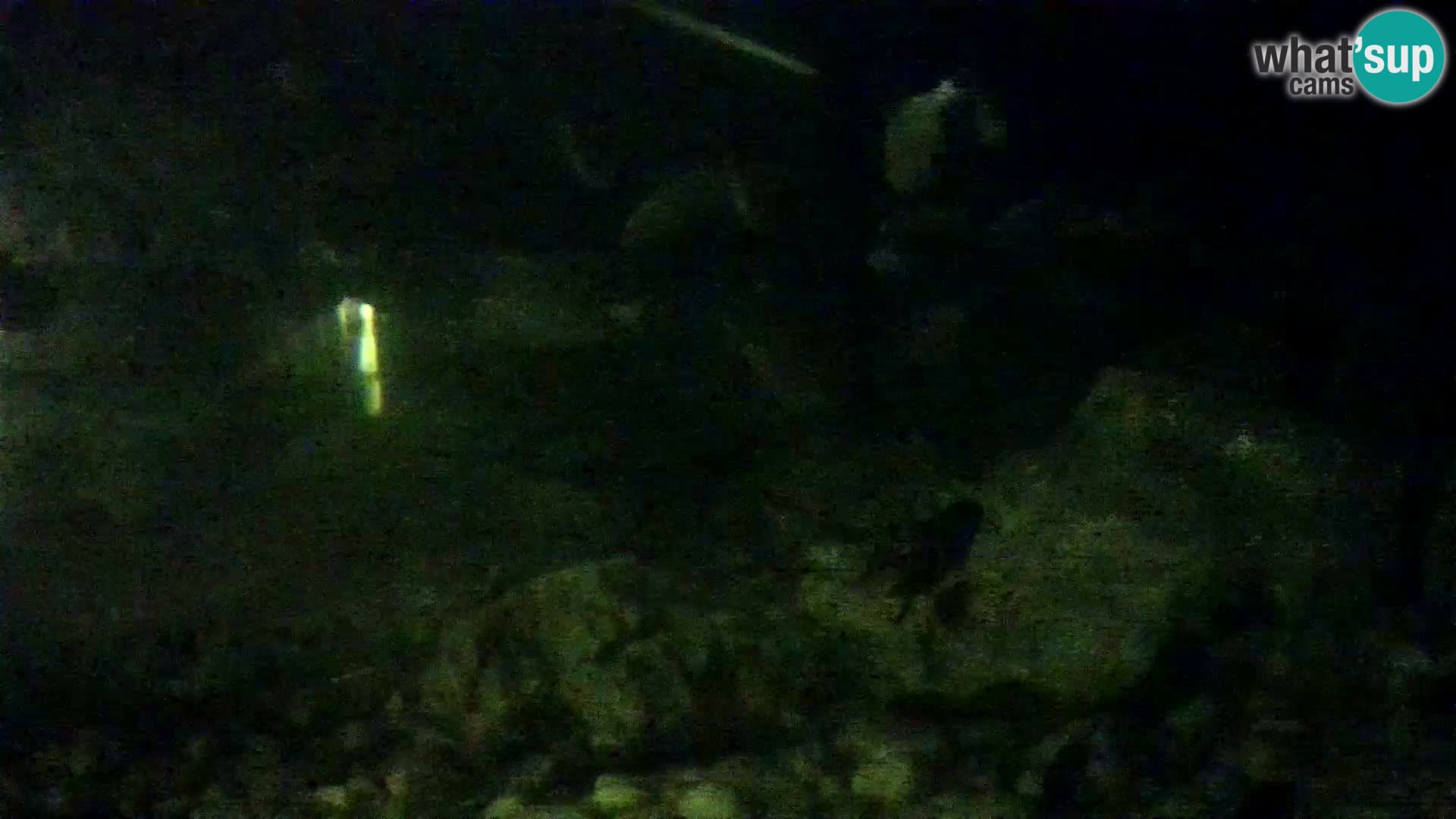 Marine Aquarium im Freien Rogoznica webcam Kroatien