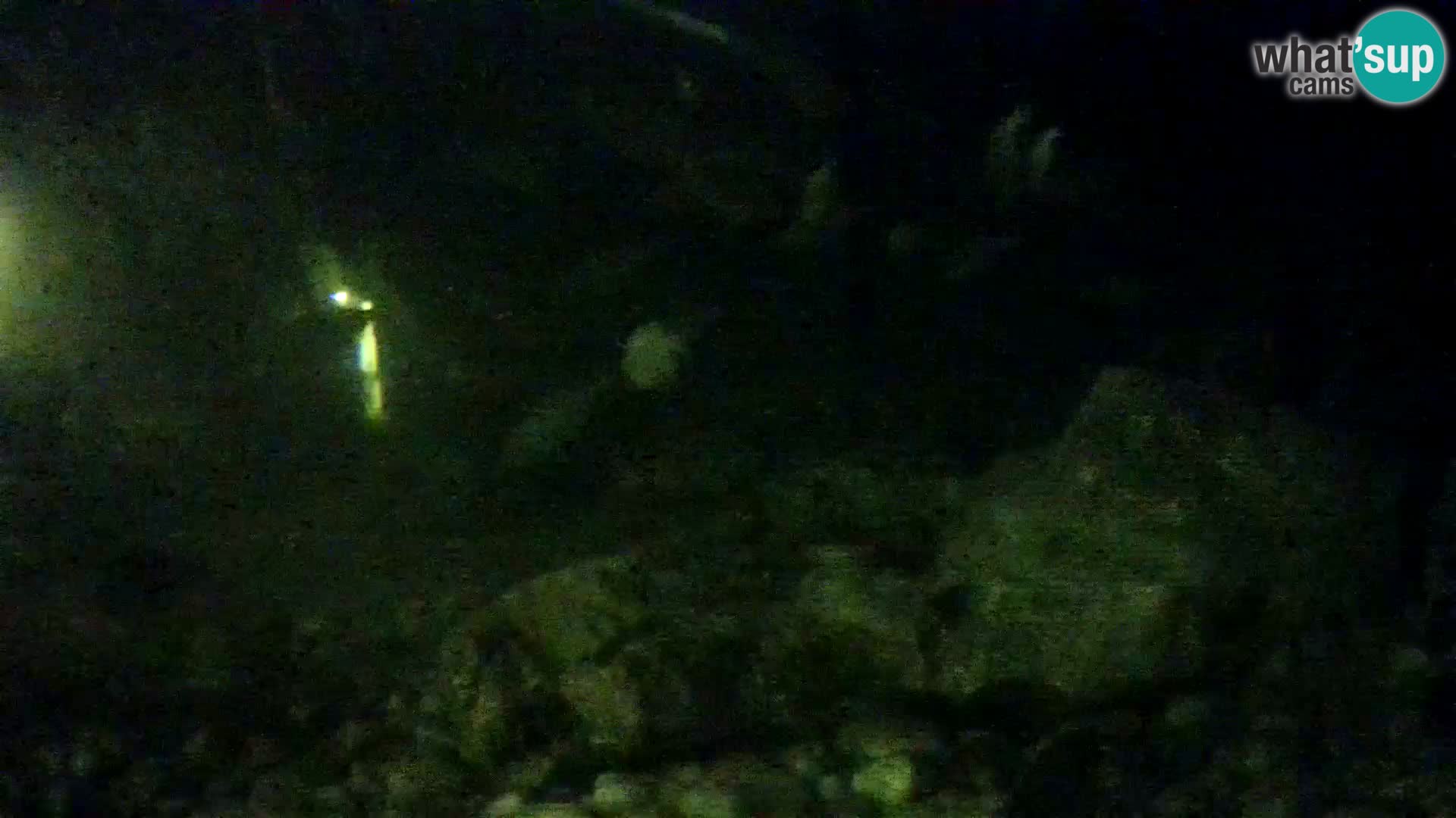 Acuario marino al aire libre Rogoznica webcam Croacia