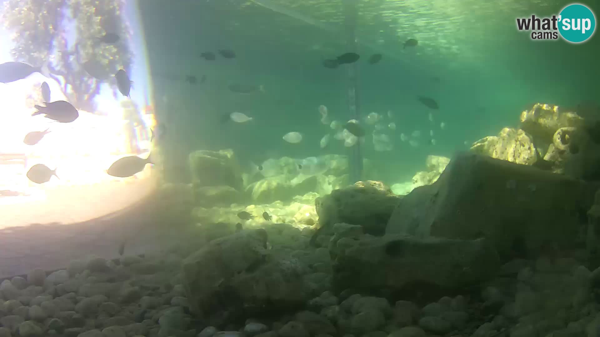 Marine Aquarium im Freien Rogoznica webcam Kroatien