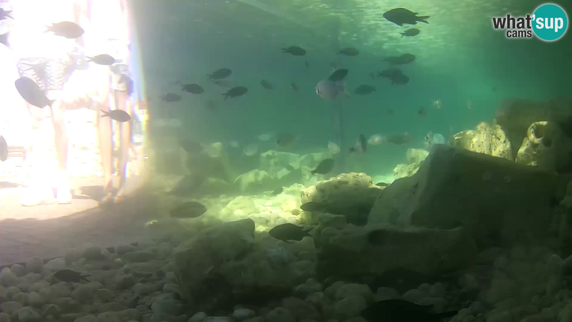 Marine Aquarium im Freien Rogoznica webcam Kroatien