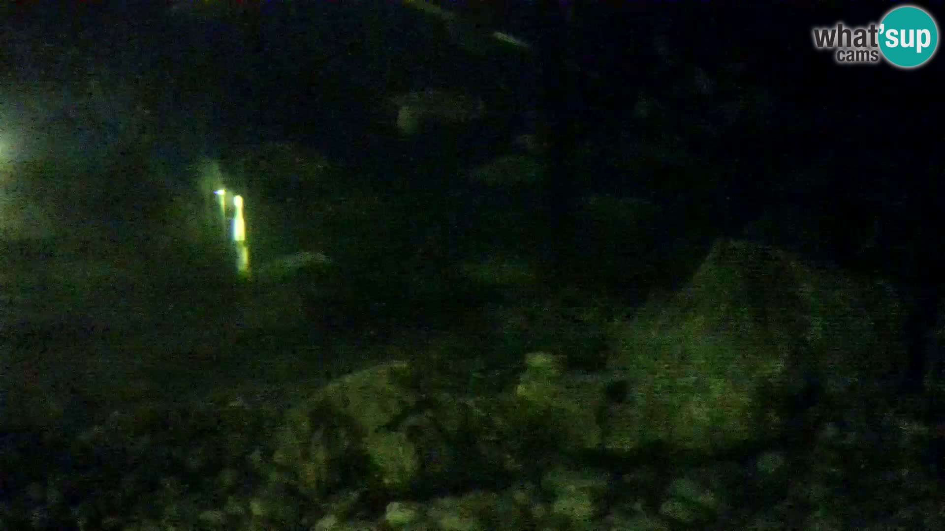 Aquario marino esterno –  Rogoznica livecam Croazia