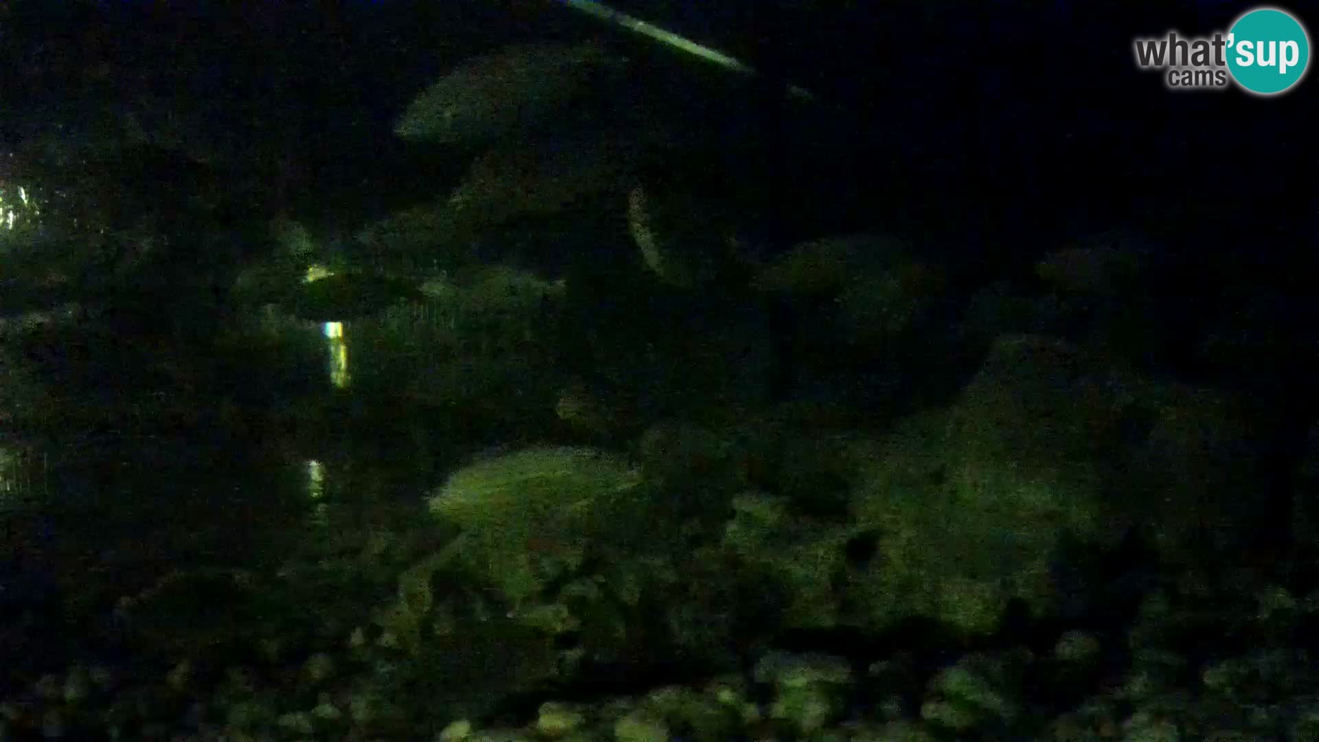 Aquario marino esterno –  Rogoznica livecam Croazia
