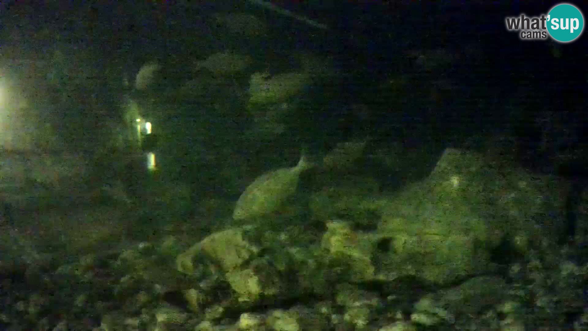 Outdoor Marine Aquarium Rogoznica webcam Croatia