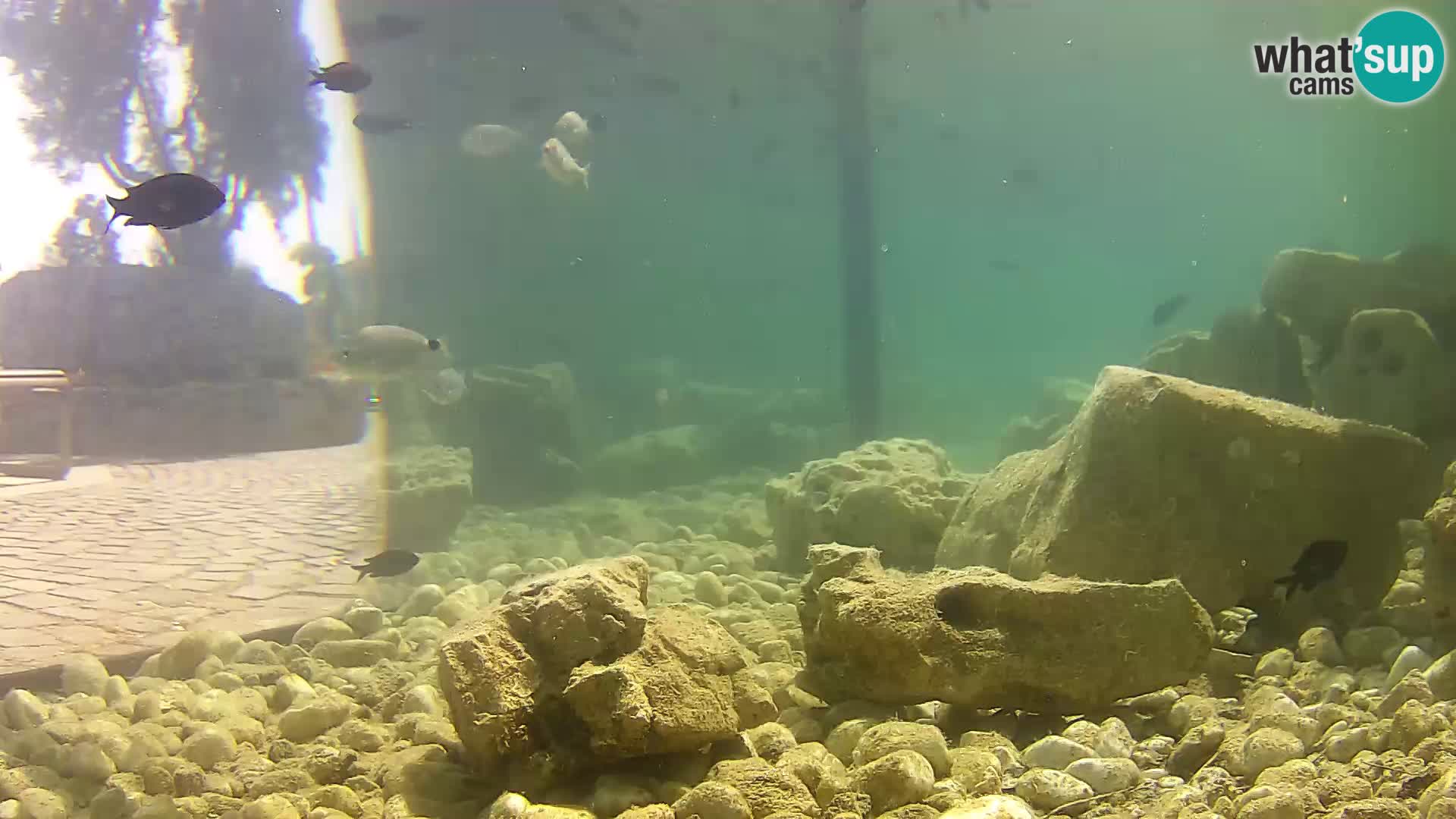 Unterwasserkamera Brijuni – Čamčarnica
