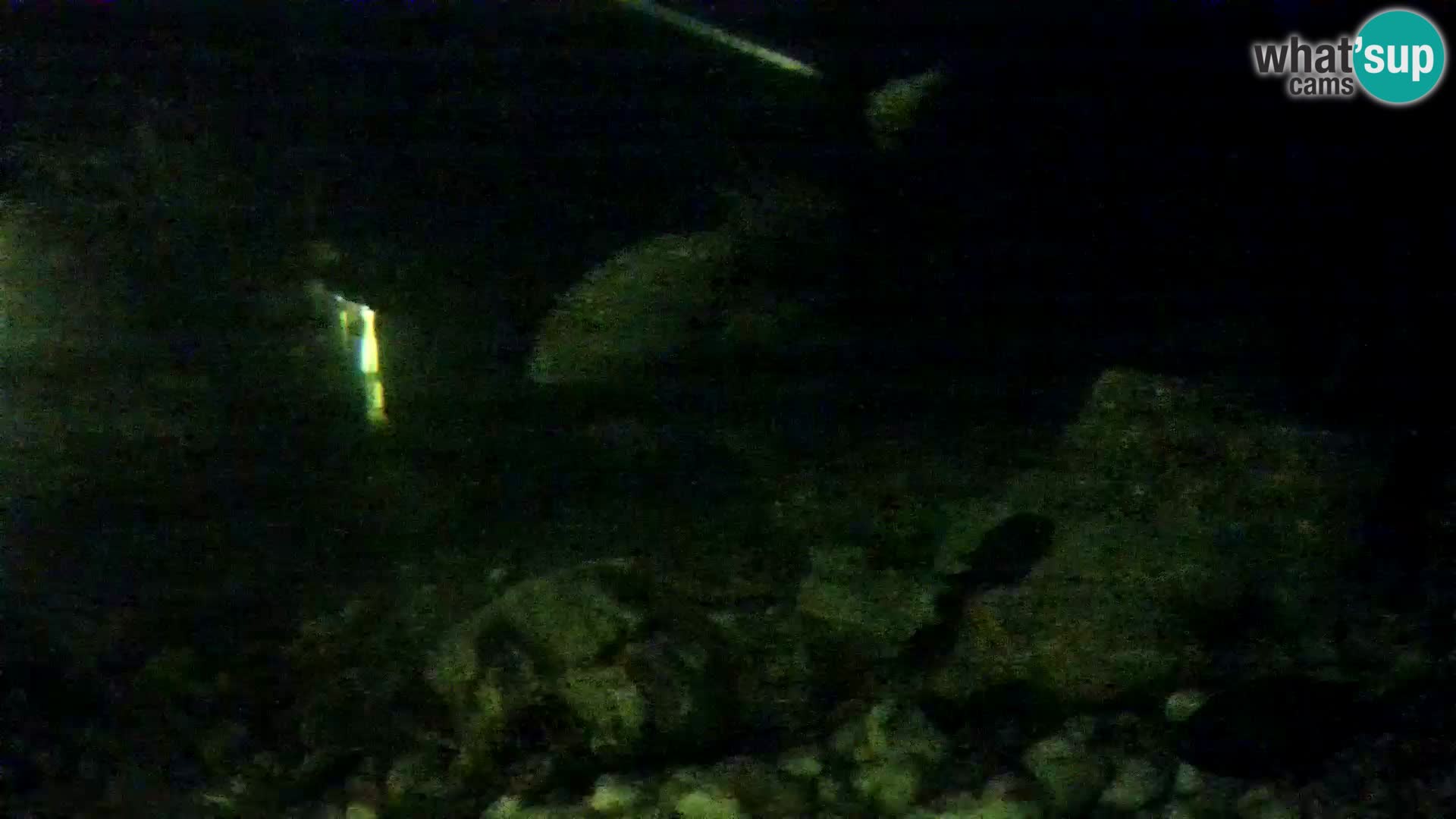 Acuario marino al aire libre Rogoznica webcam Croacia