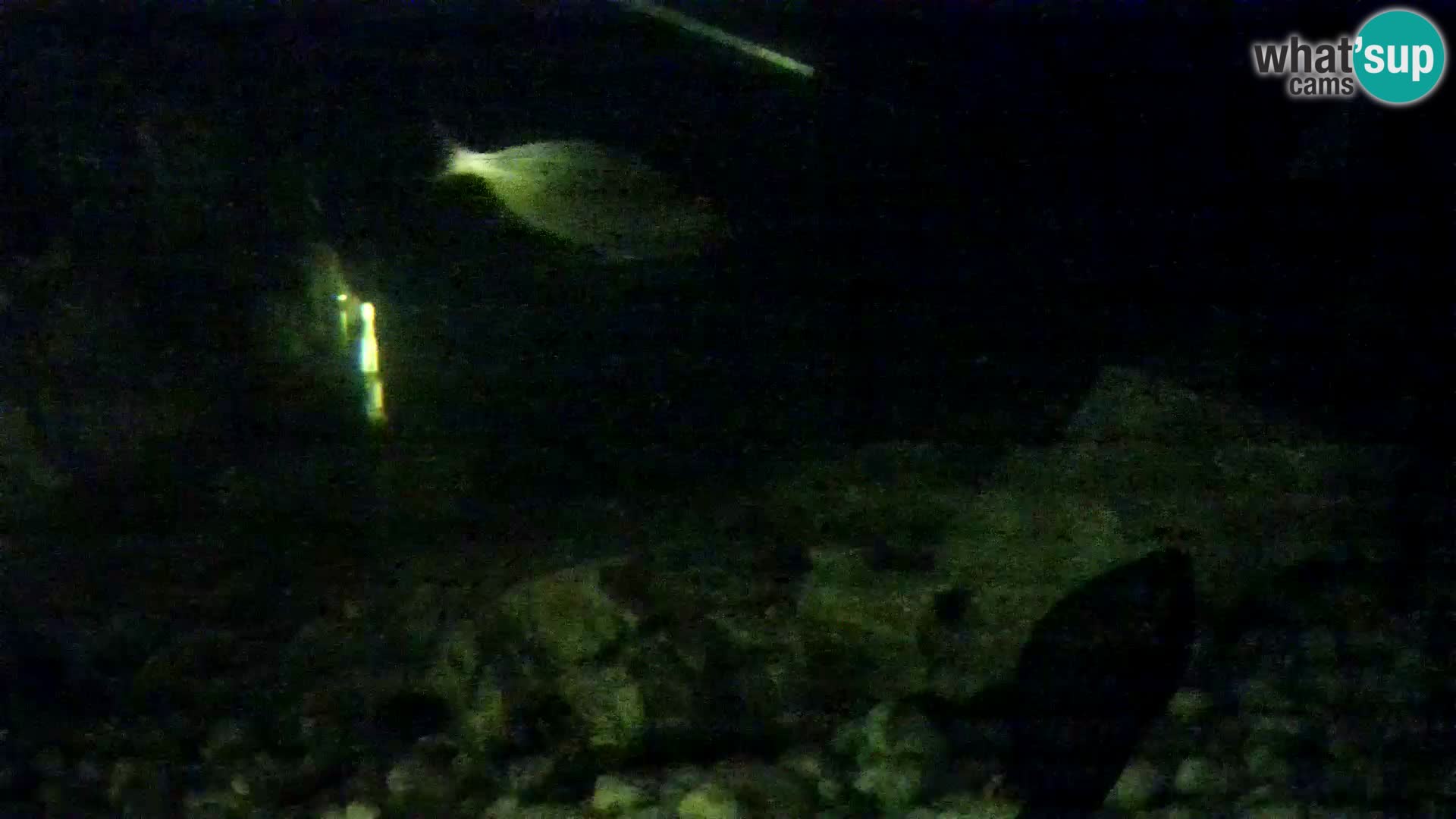 Acuario marino al aire libre Rogoznica webcam Croacia