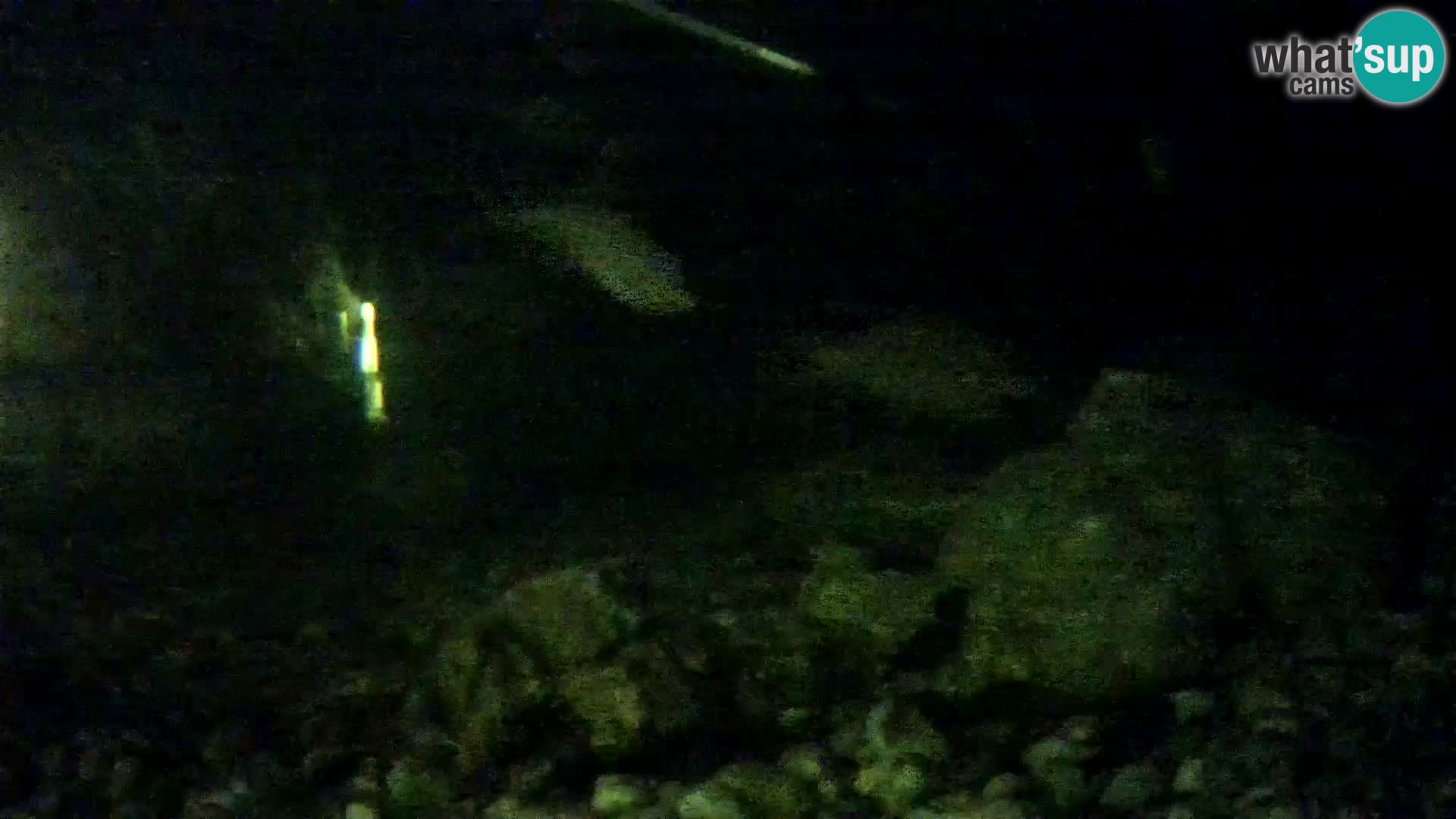 Aquario marino esterno –  Rogoznica livecam Croazia