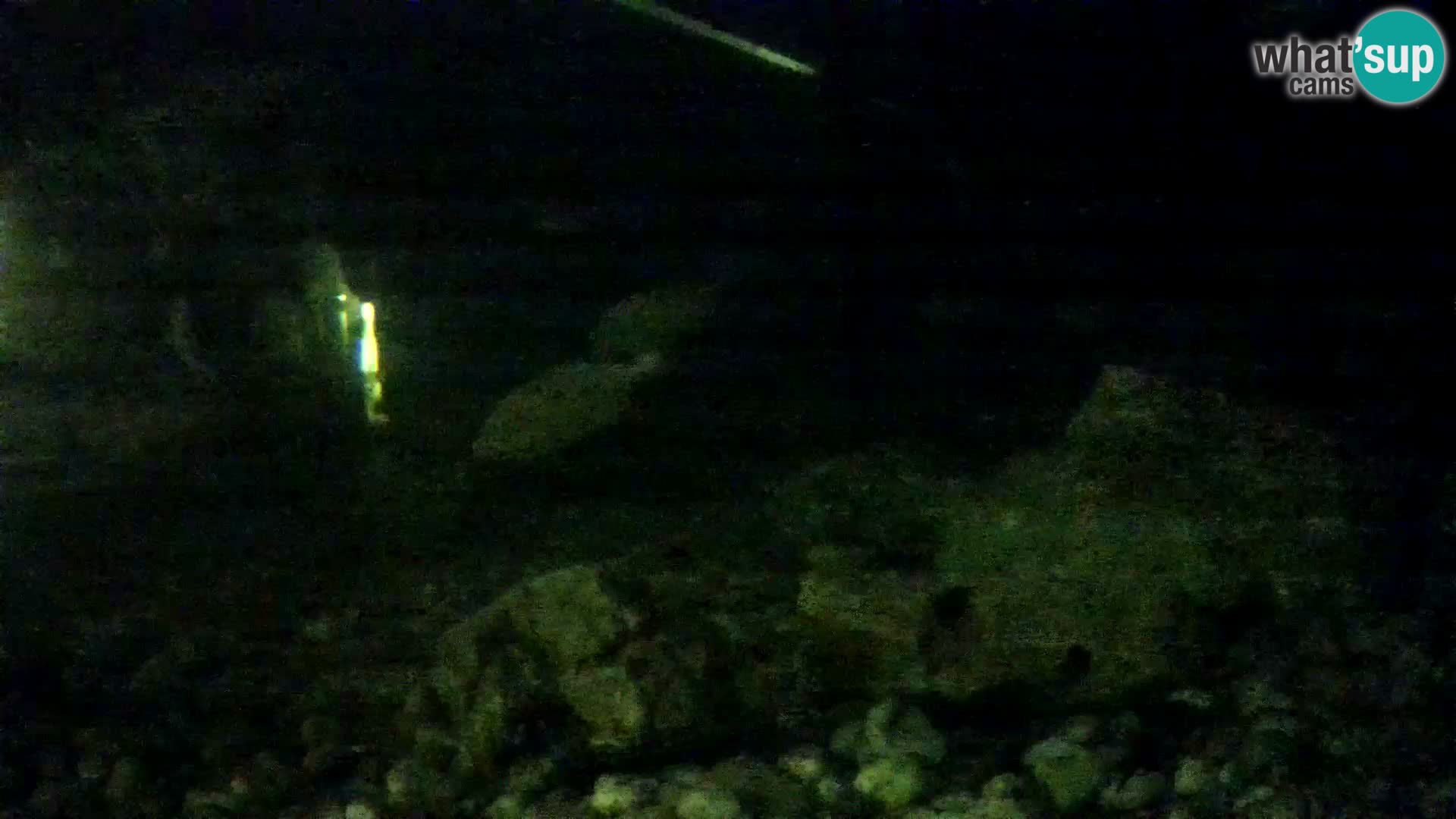 Aquario marino esterno –  Rogoznica livecam Croazia