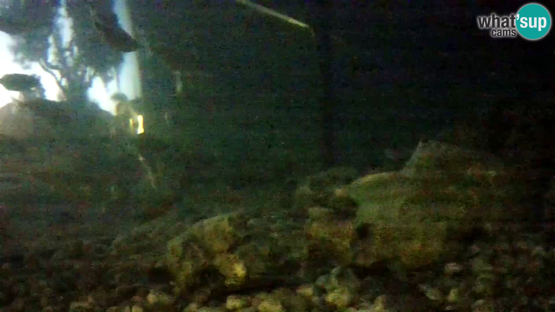 Webcam de l’aquarium marin extérieur de Rogoznica Croatie