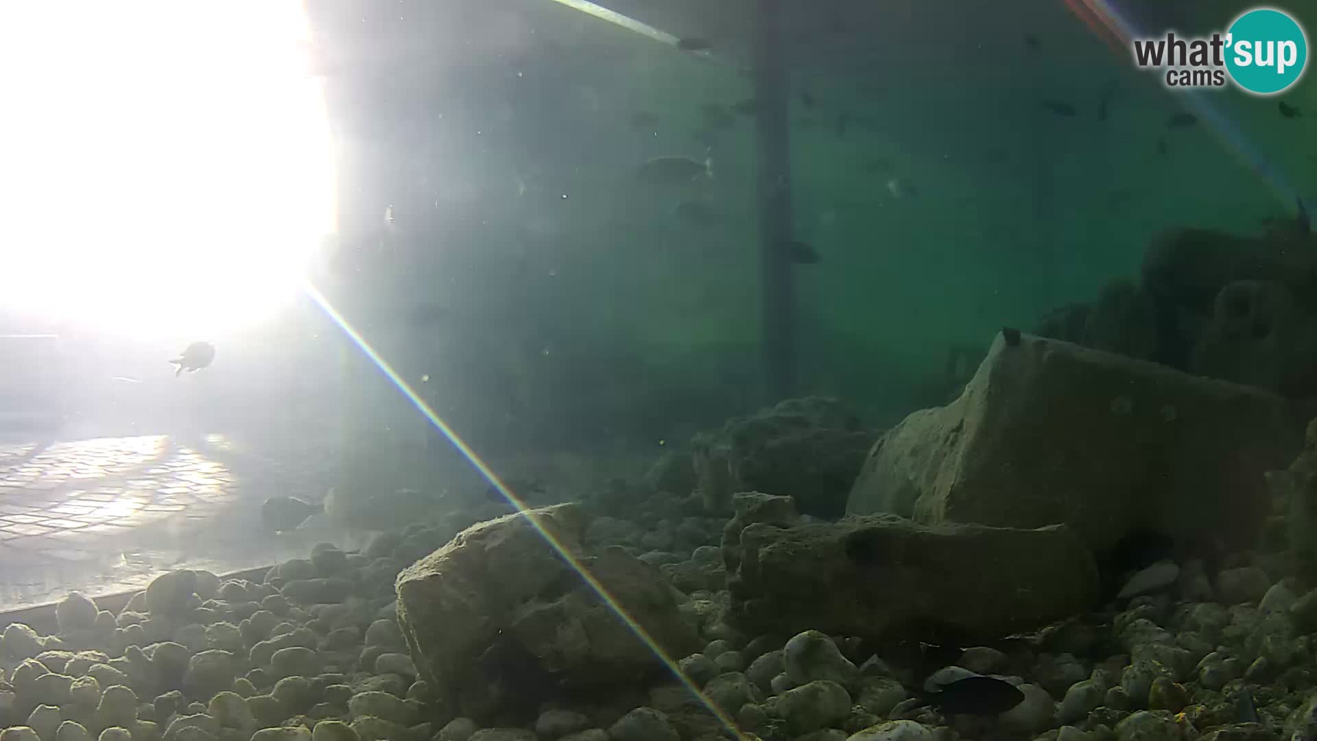 Marine Aquarium im Freien Rogoznica webcam Kroatien