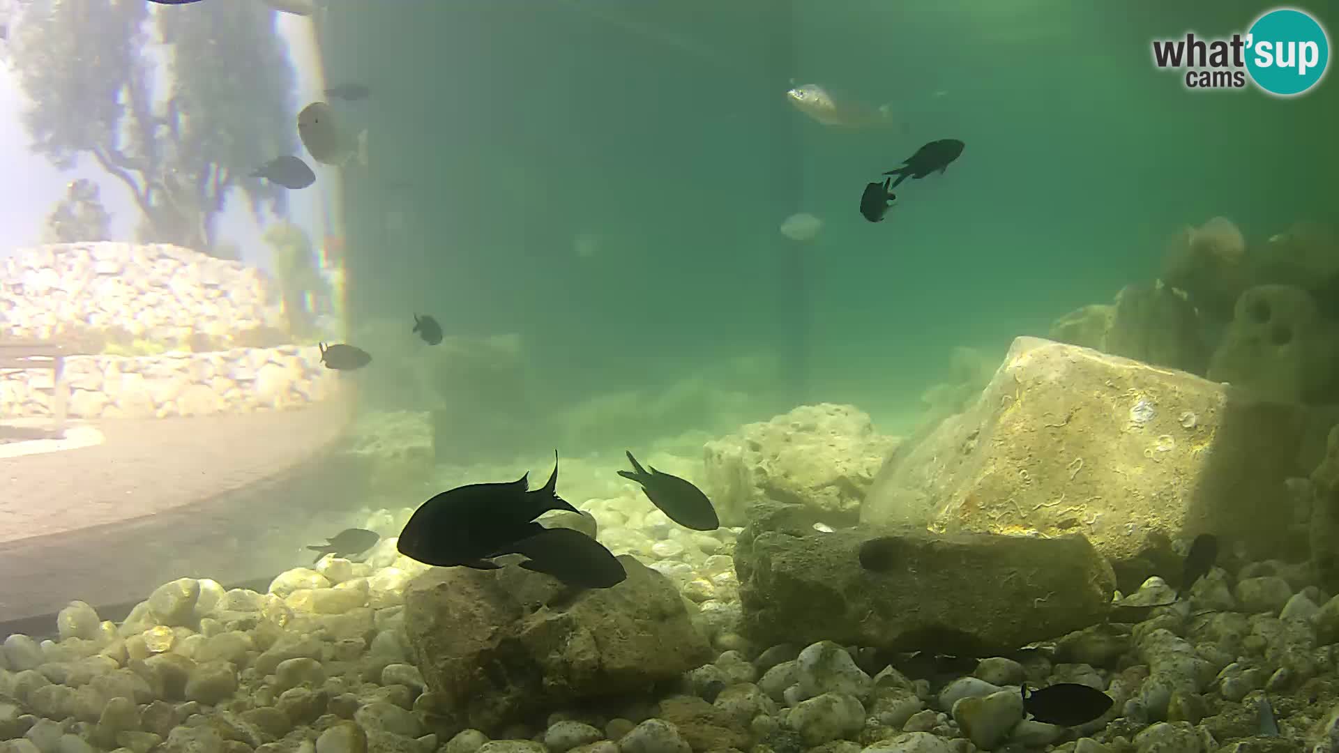 Unterwasserkamera Brijuni – Čamčarnica
