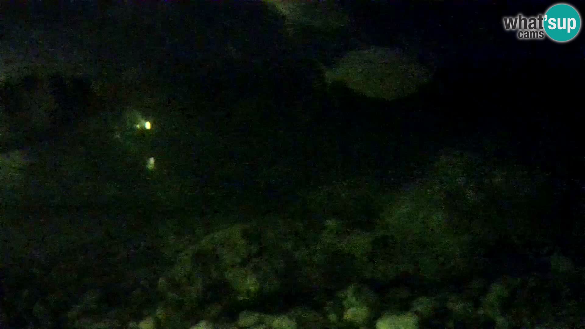 Aquario marino esterno –  Rogoznica livecam Croazia