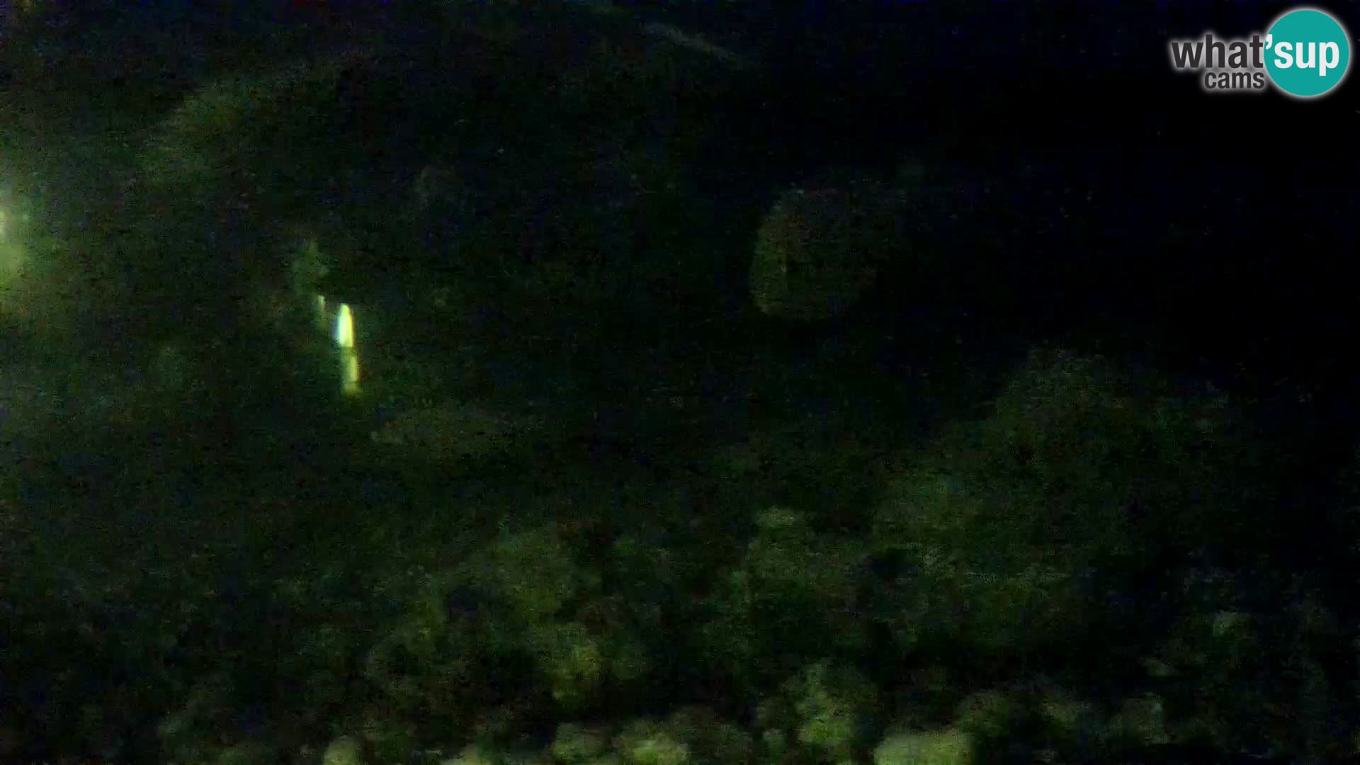 Zunanji morski akvarij Rogoznica spletna kamera Hrvaška