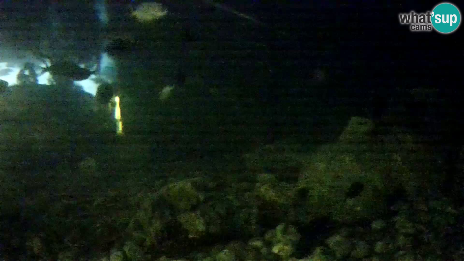 Acuario marino al aire libre Rogoznica webcam Croacia