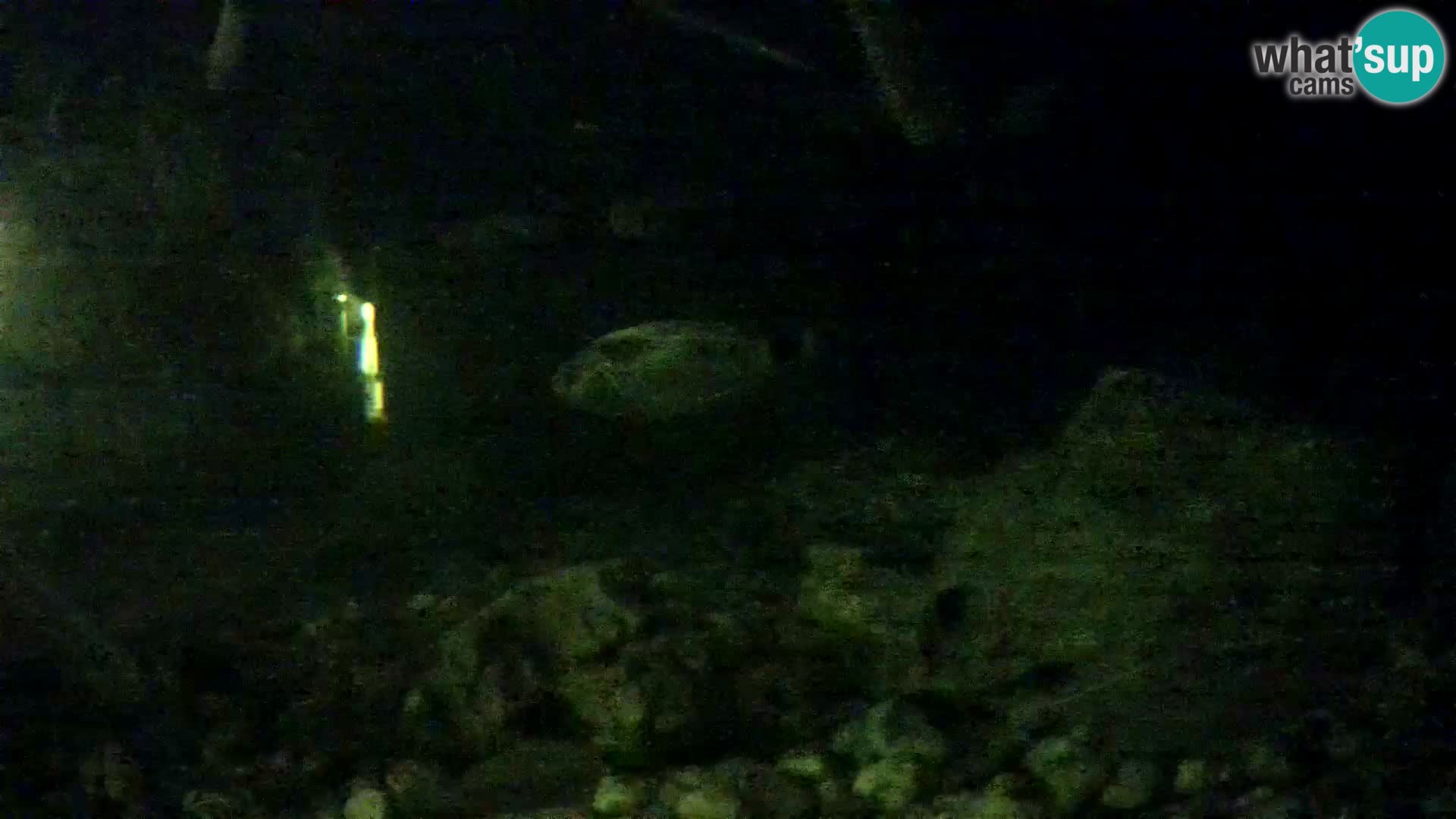Aquario marino esterno –  Rogoznica livecam Croazia