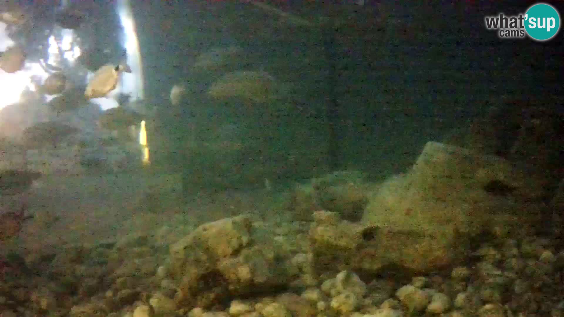 Marine Aquarium im Freien Rogoznica webcam Kroatien