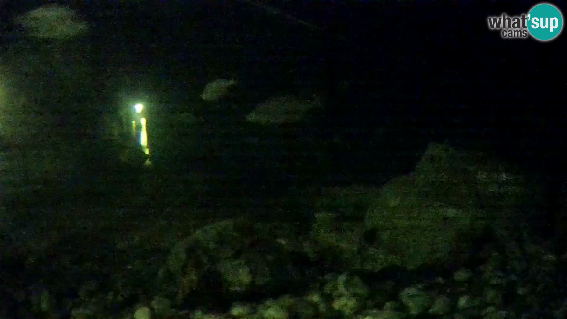 Acuario marino al aire libre Rogoznica webcam Croacia