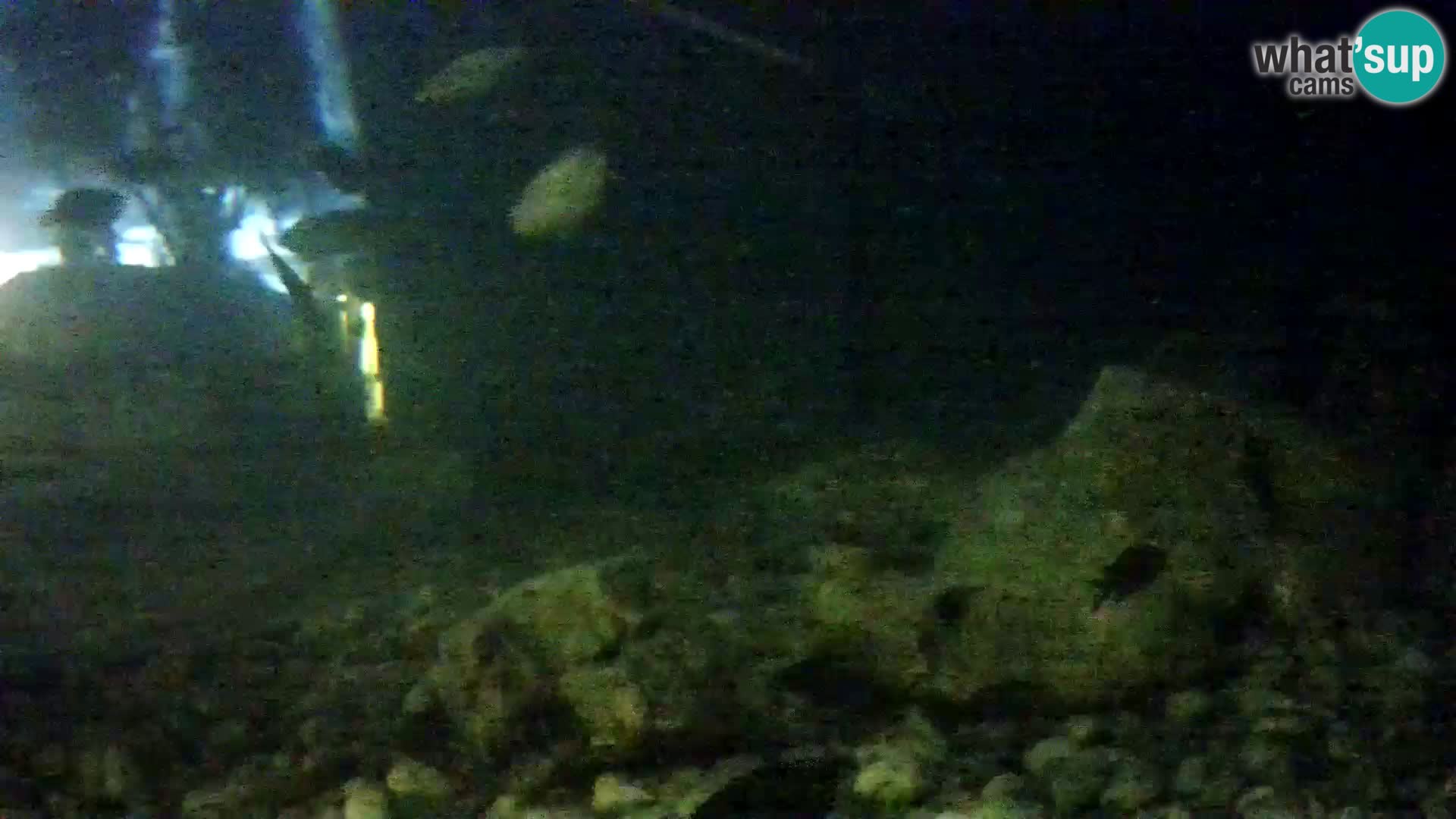 Aquario marino esterno –  Rogoznica livecam Croazia