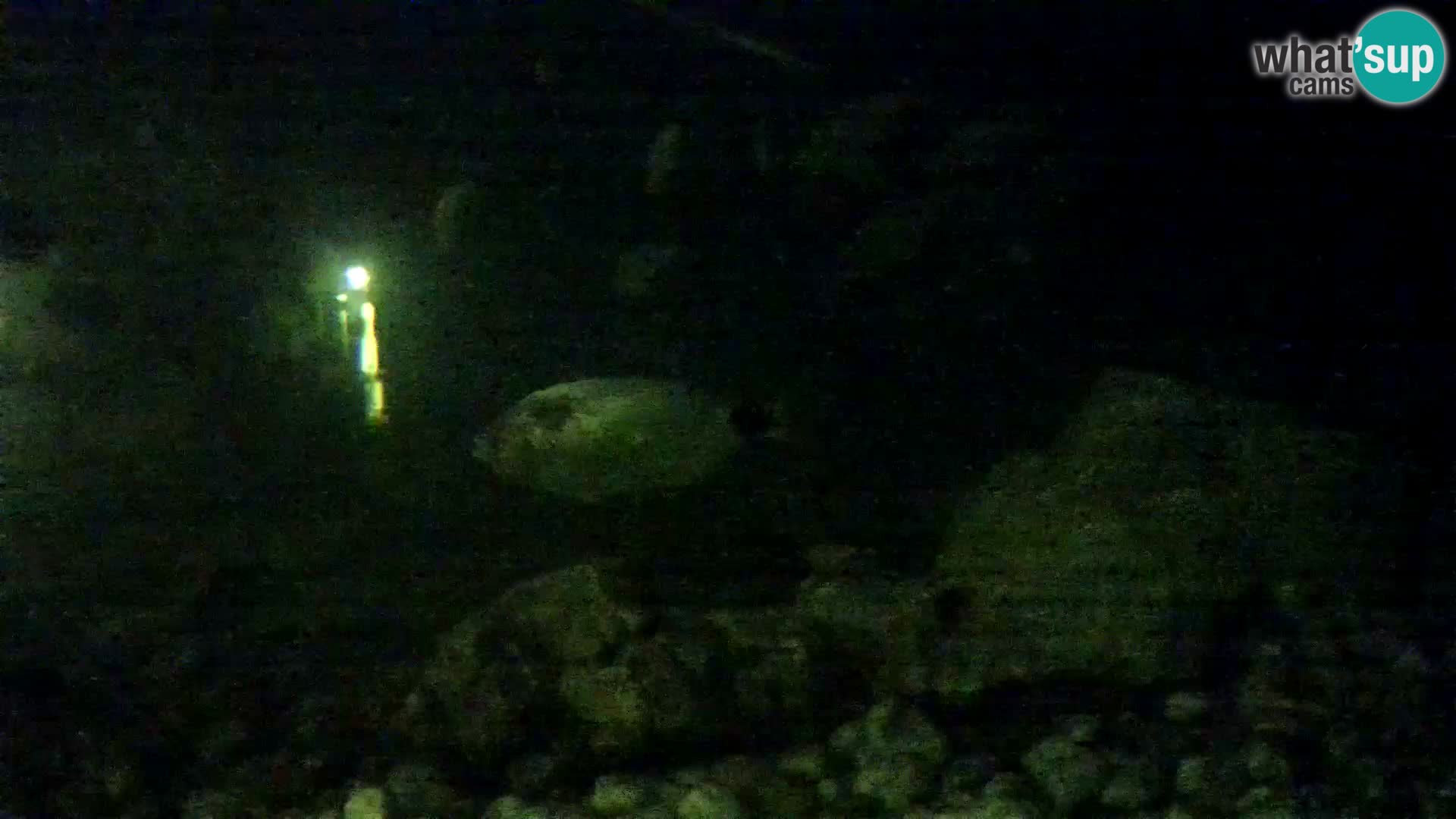 Webcam de l’aquarium marin extérieur de Rogoznica Croatie