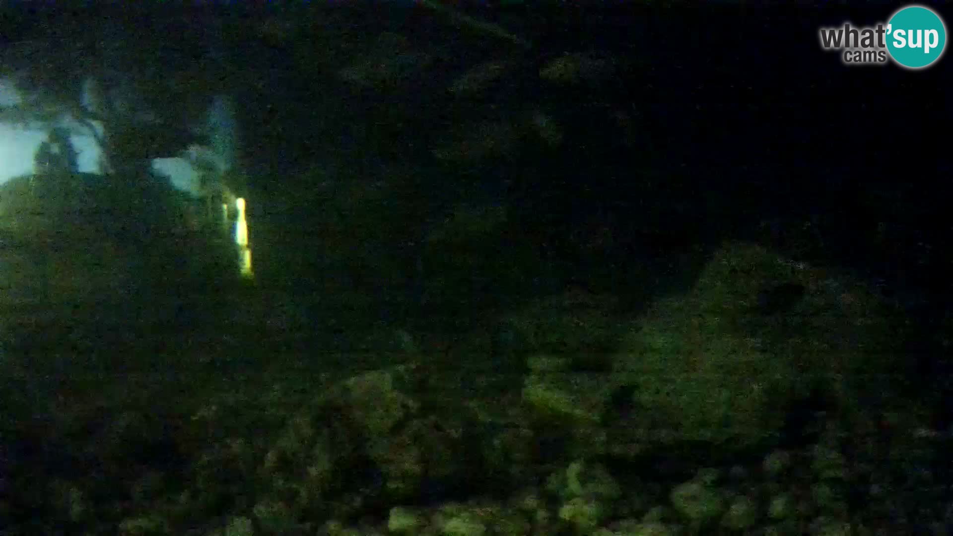Zunanji morski akvarij Rogoznica spletna kamera Hrvaška