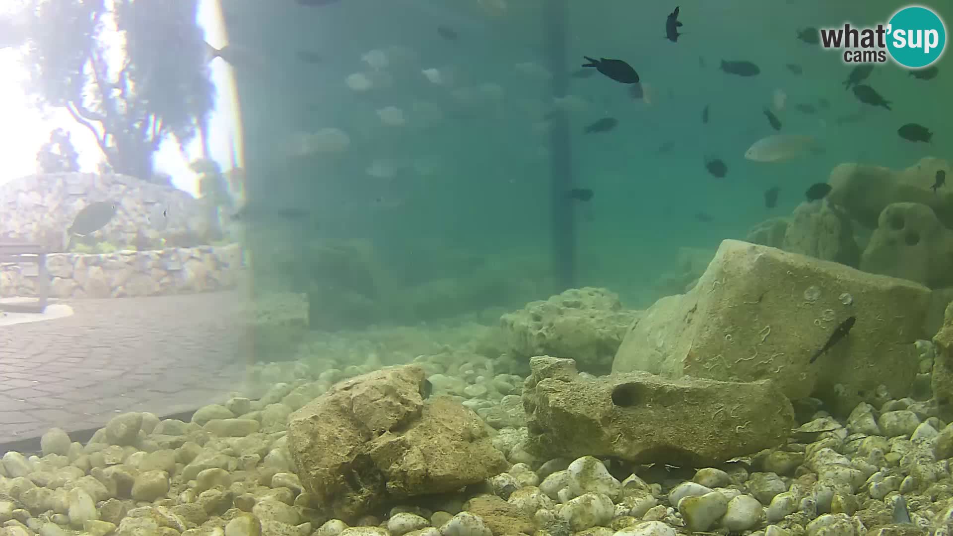 Marine Aquarium im Freien Rogoznica webcam Kroatien