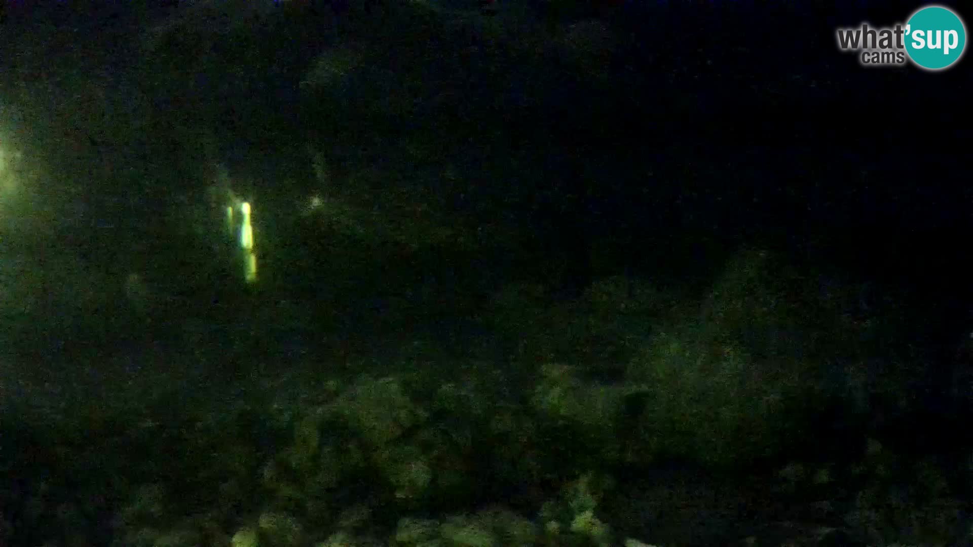 Acuario marino al aire libre Rogoznica webcam Croacia