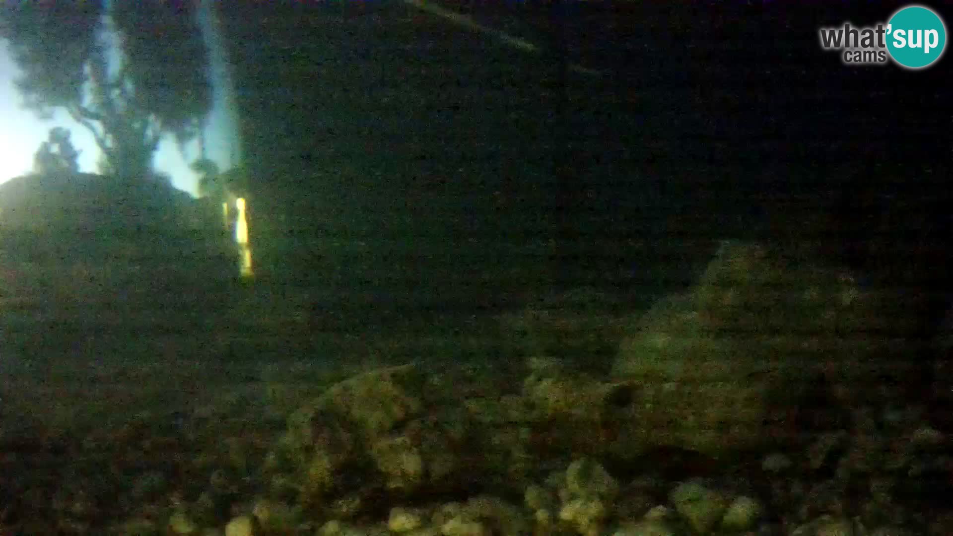 Outdoor Marine Aquarium Rogoznica webcam Croatia