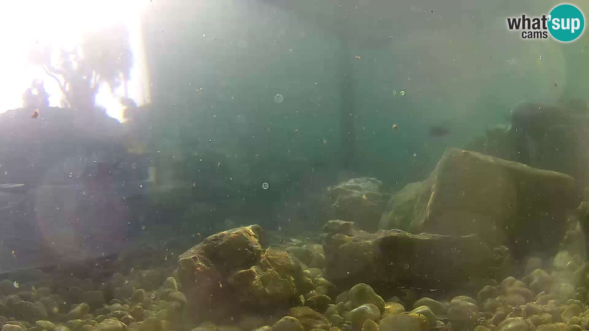 Webcam de l’aquarium marin extérieur de Rogoznica Croatie