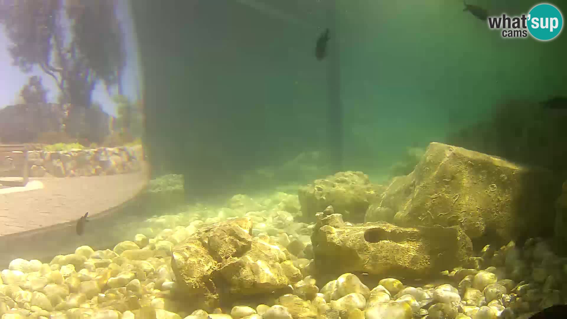 Outdoor Marine Aquarium Rogoznica webcam Croatia