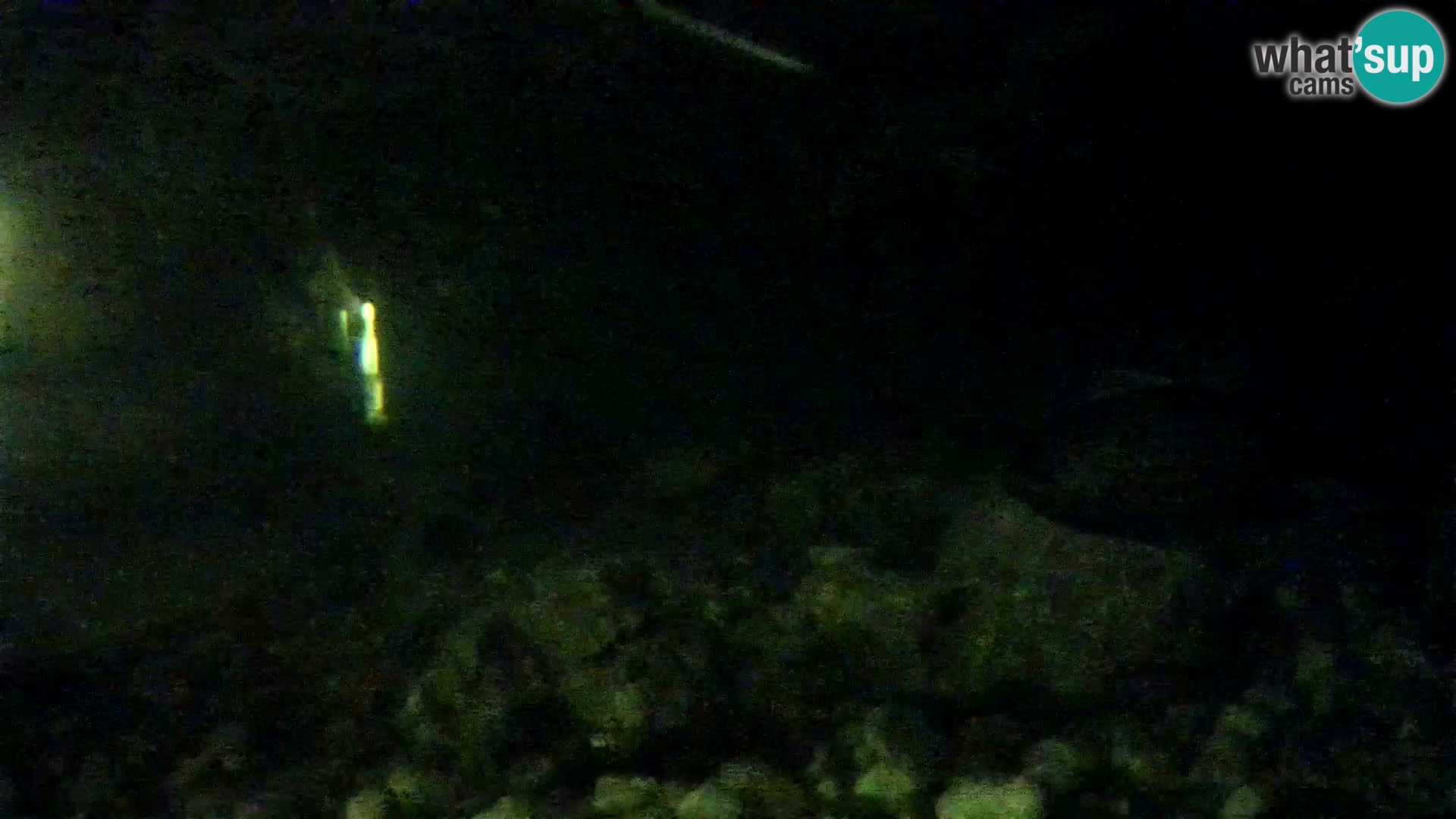 Aquario marino esterno –  Rogoznica livecam Croazia