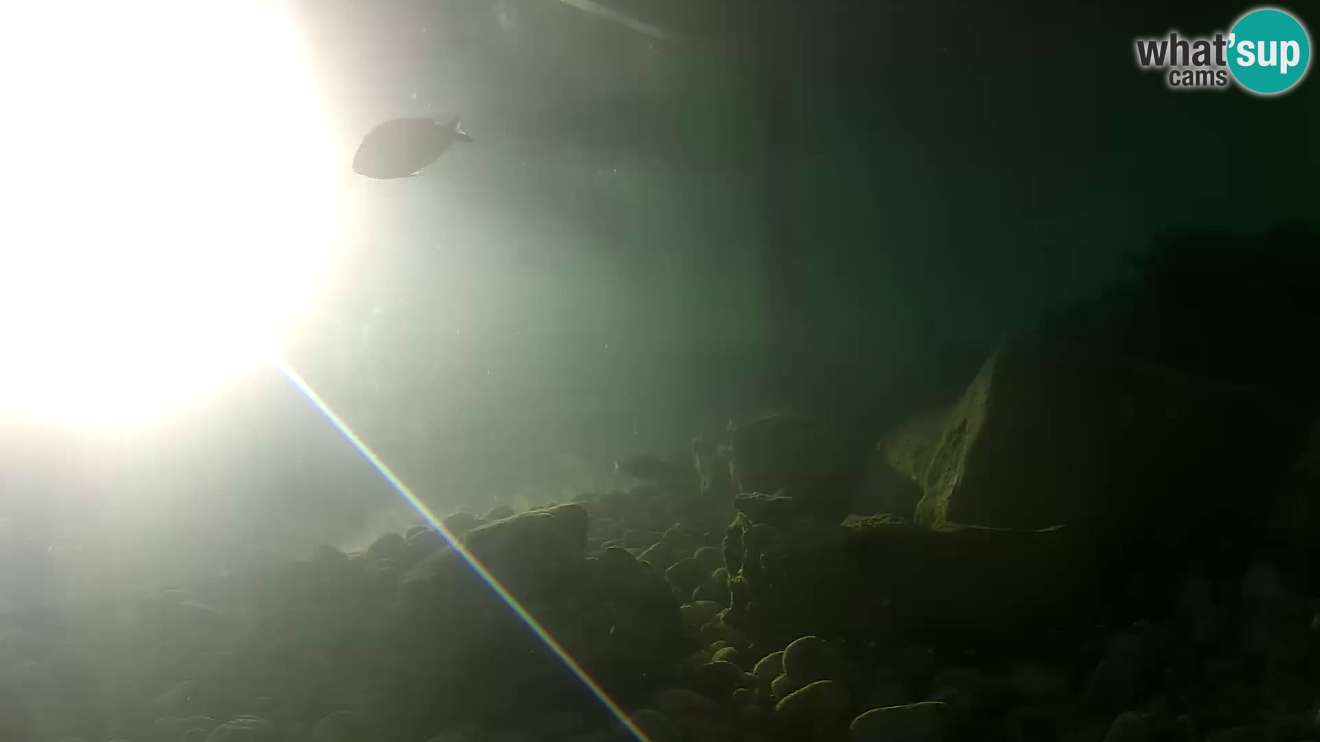 Outdoor Marine Aquarium Rogoznica webcam Croatia