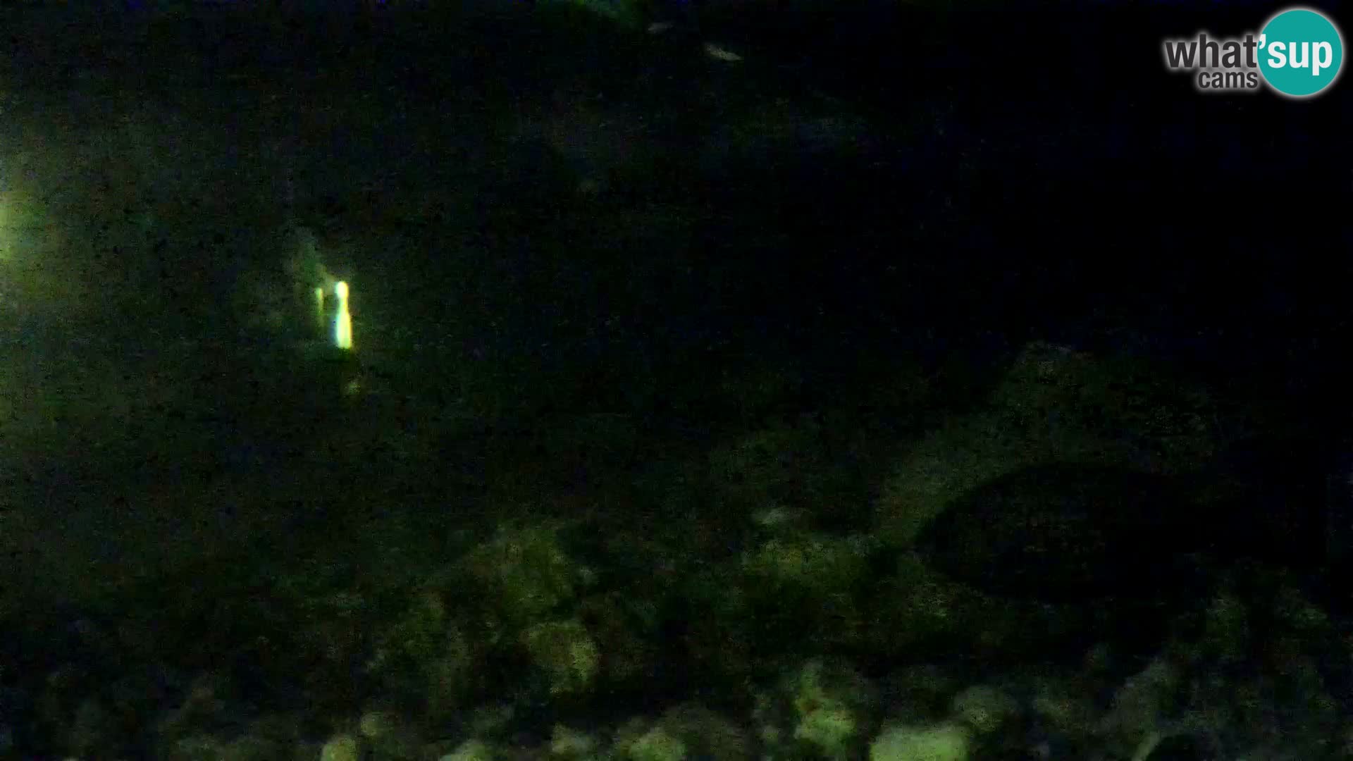 Outdoor Marine Aquarium Rogoznica webcam Croatia