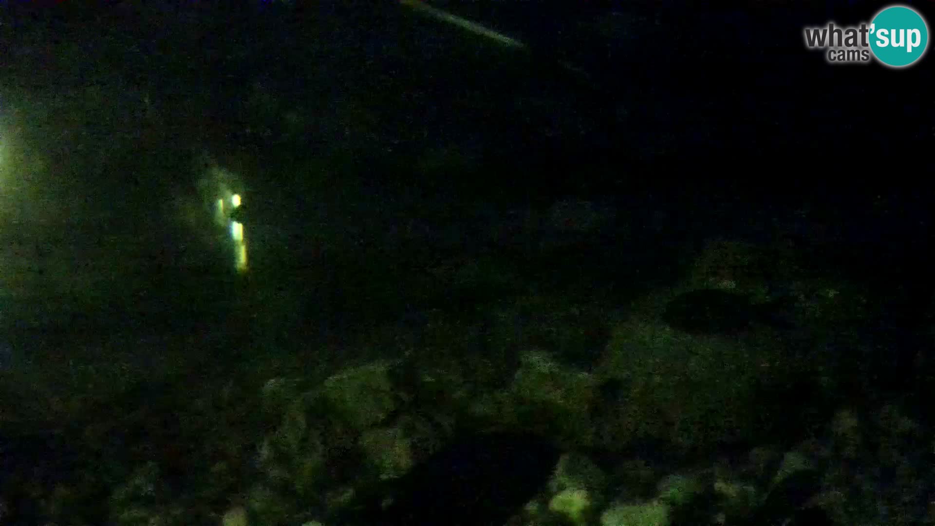 Aquario marino esterno –  Rogoznica livecam Croazia