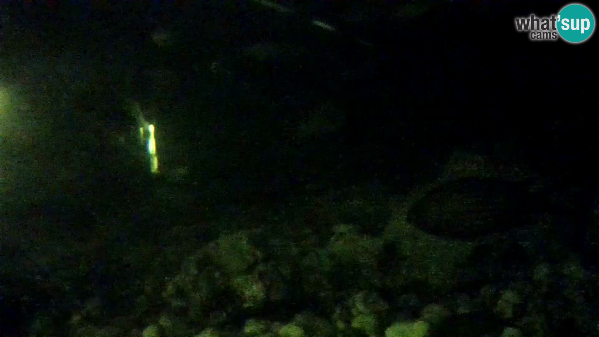 Aquario marino esterno –  Rogoznica livecam Croazia